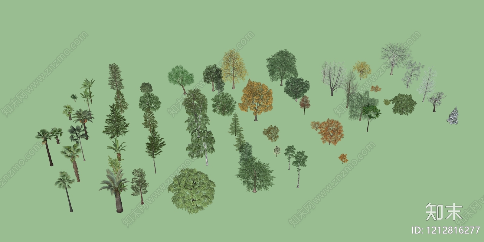 自然主义景观其他植物SU模型下载【ID:1212816277】