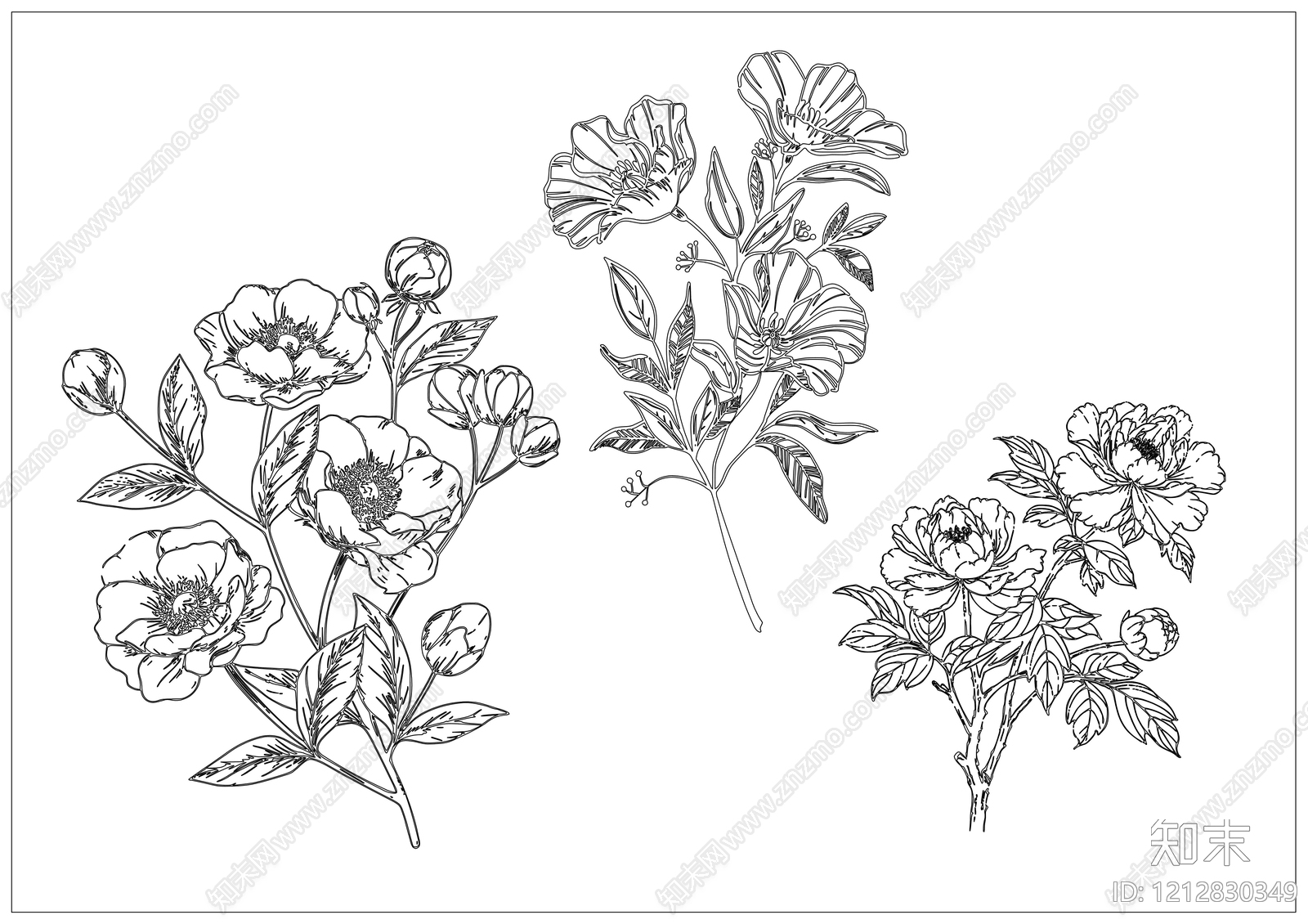 现代极简综合植物图库施工图下载【ID:1212830349】