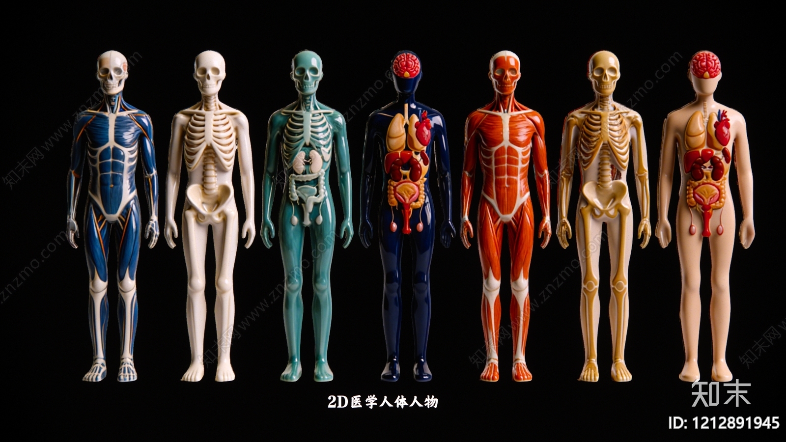 医学模型风虚拟人物SU模型下载【ID:1212891945】