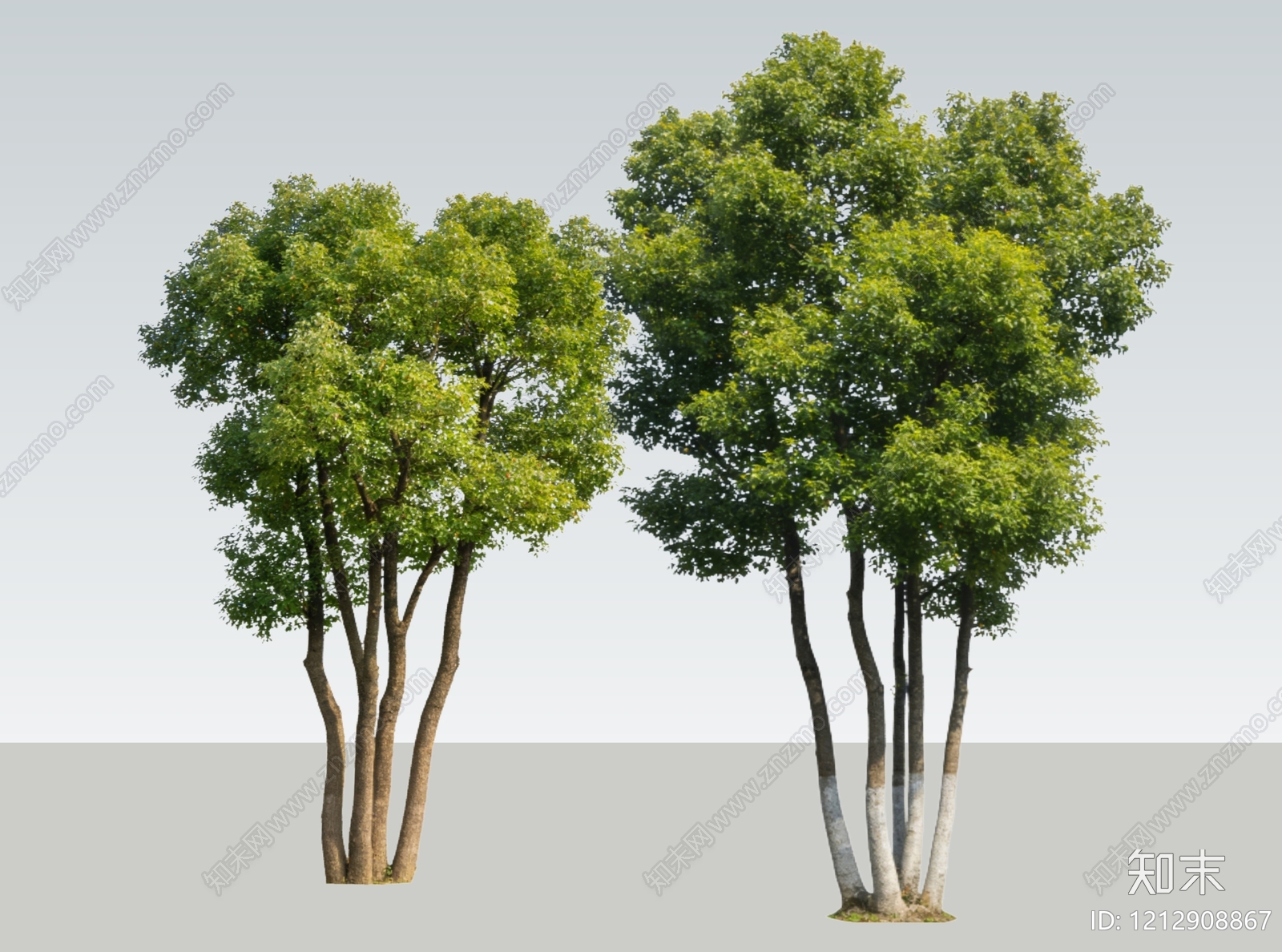 新中式景观乔木SU模型下载【ID:1212908867】
