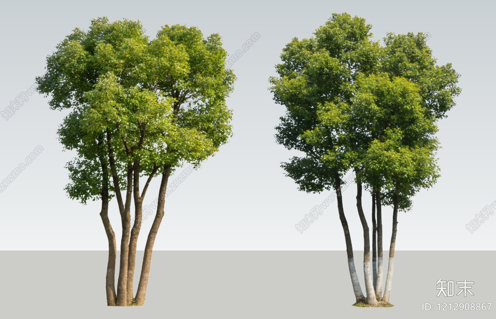 新中式景观乔木SU模型下载【ID:1212908867】