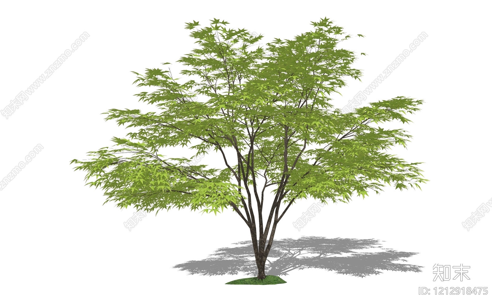 日式景观乔木SU模型下载【ID:1212918475】