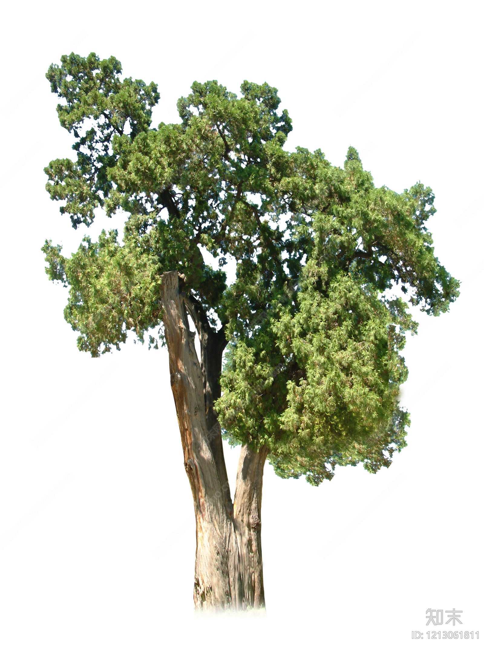 现代其它HDR贴图下载【ID:1213061811】