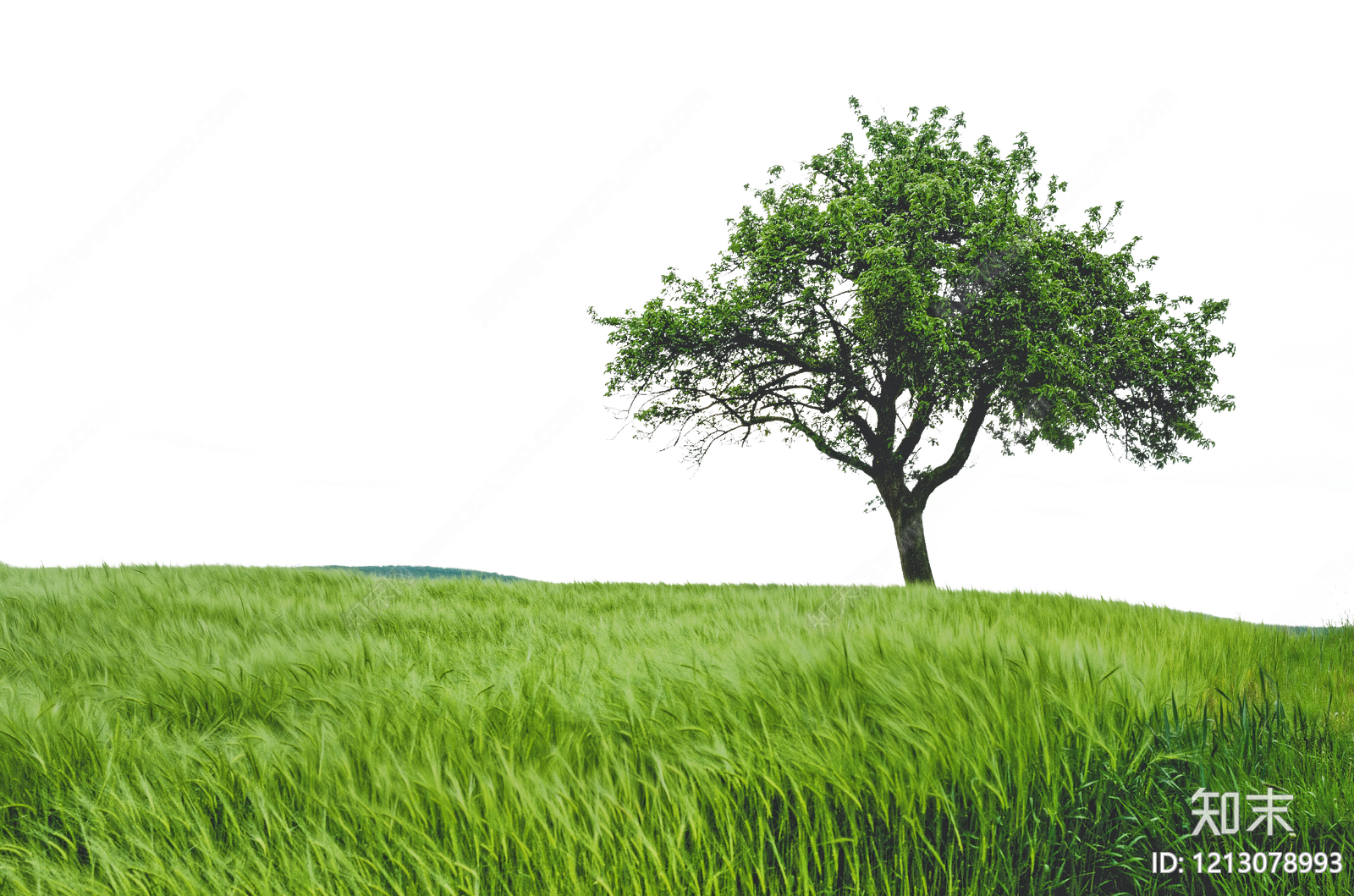 现代其它HDR贴图下载【ID:1213078993】