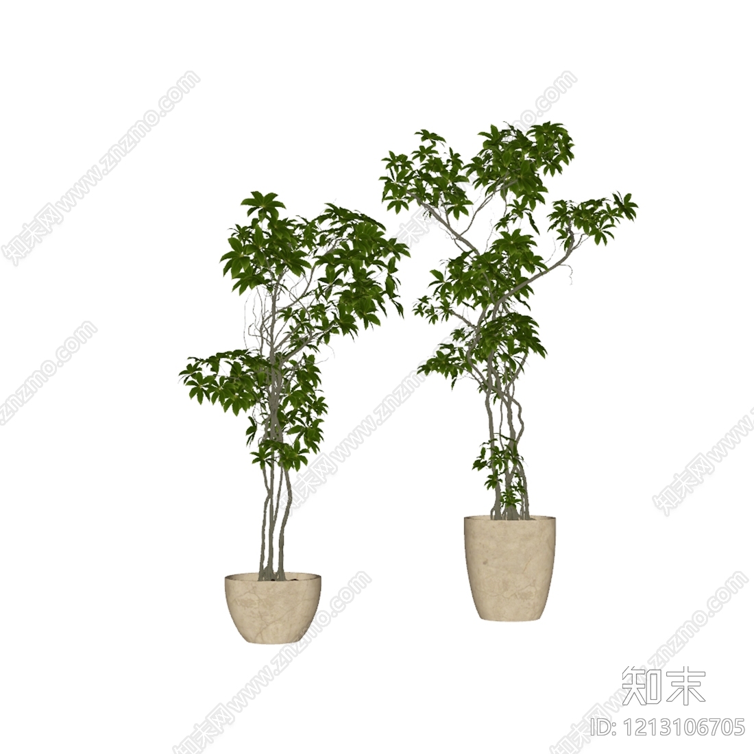 侘寂盆栽SU模型下载【ID:1213106705】