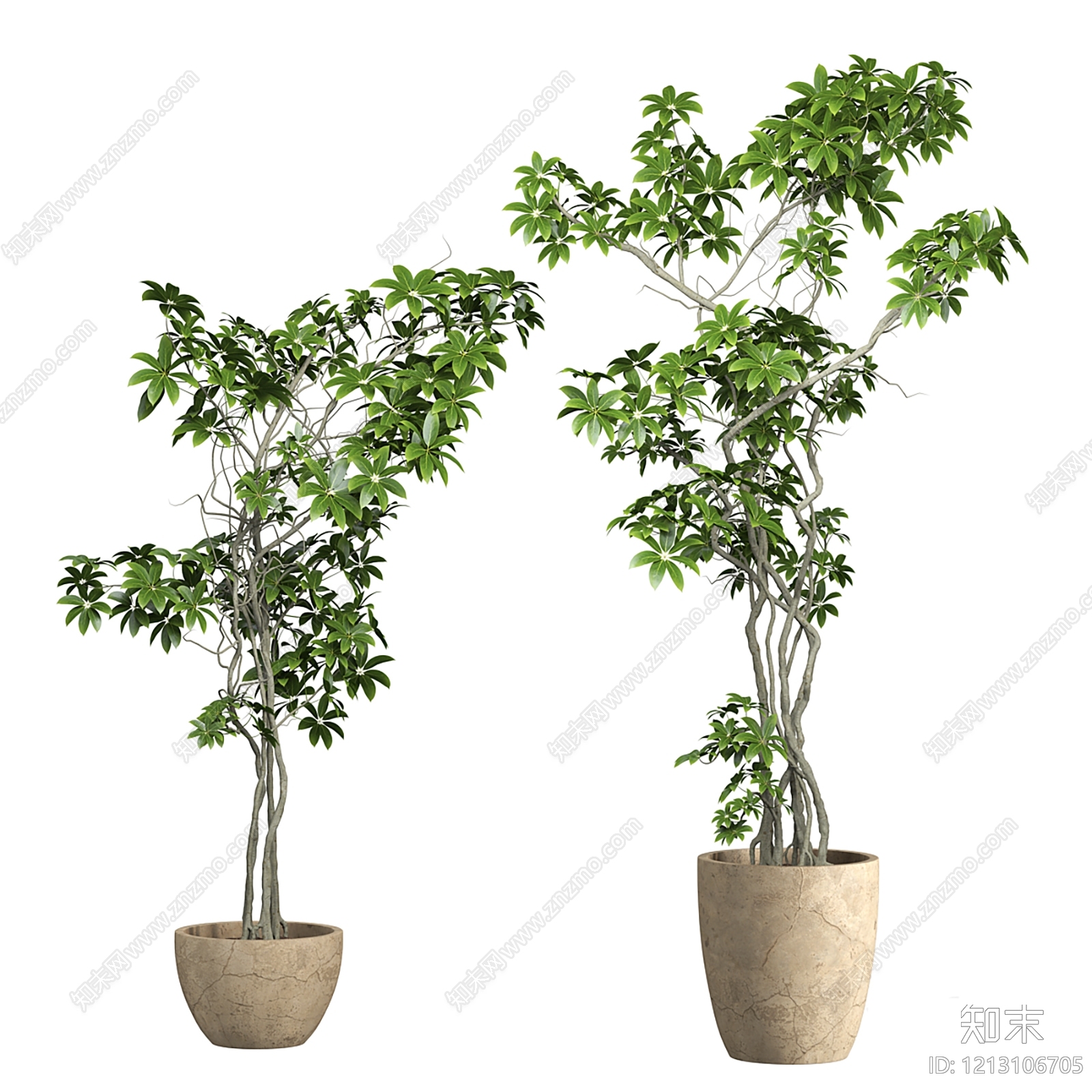 侘寂盆栽SU模型下载【ID:1213106705】