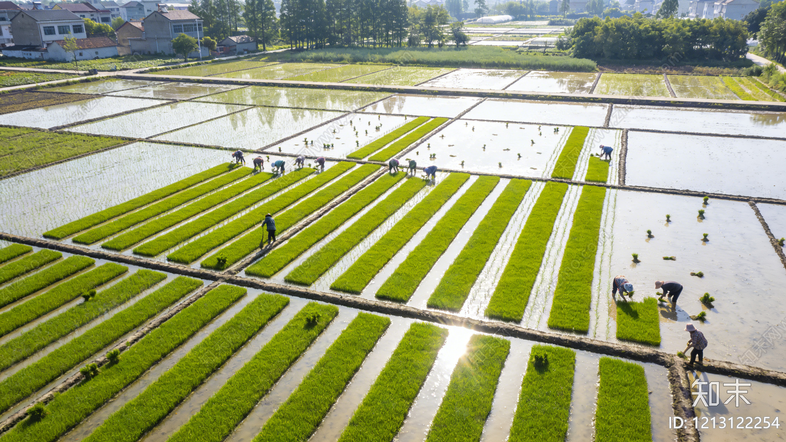 现代轻奢农田贴图下载【ID:1213122254】