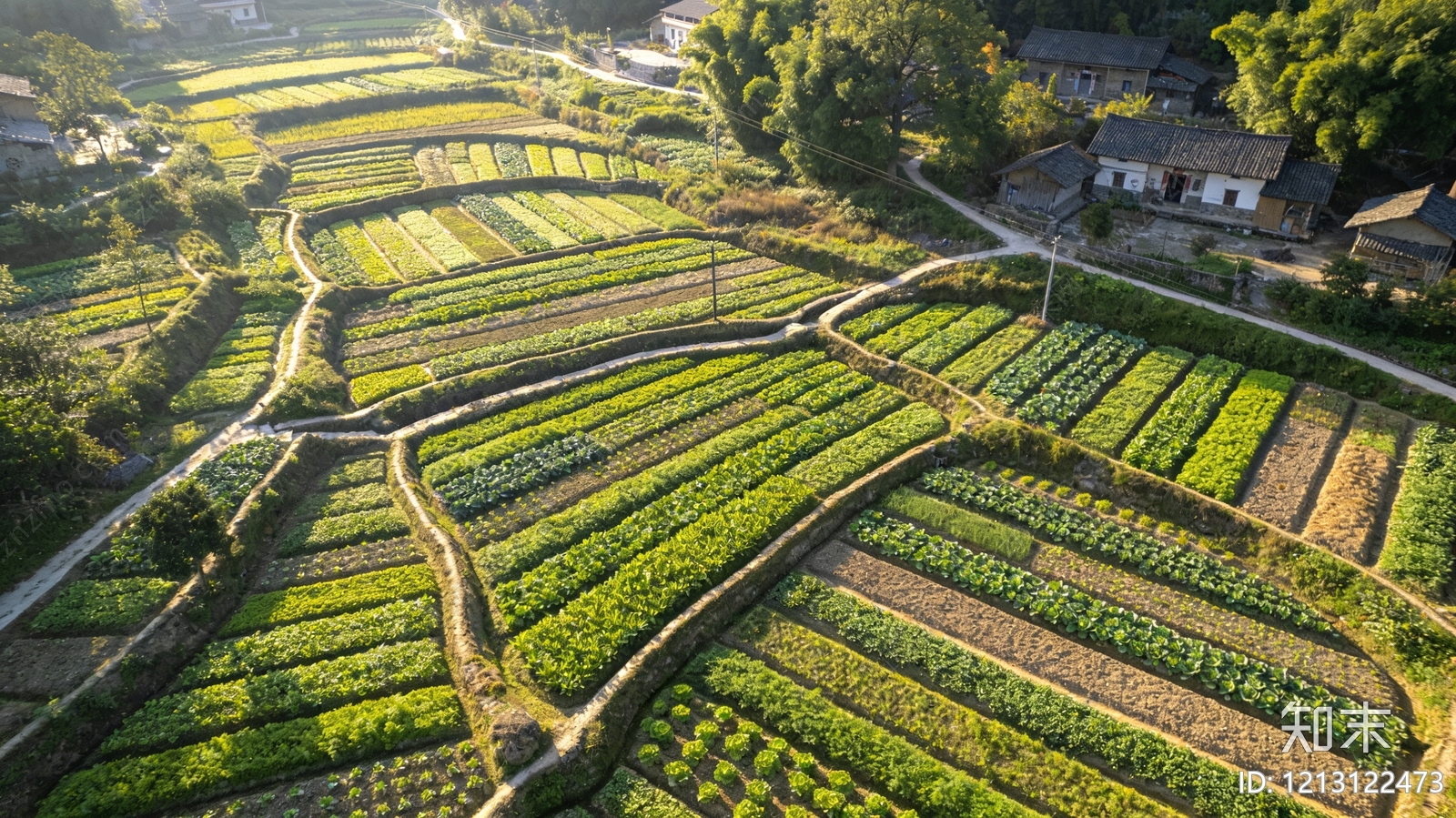 现代轻奢其他风景贴图下载【ID:1213122473】