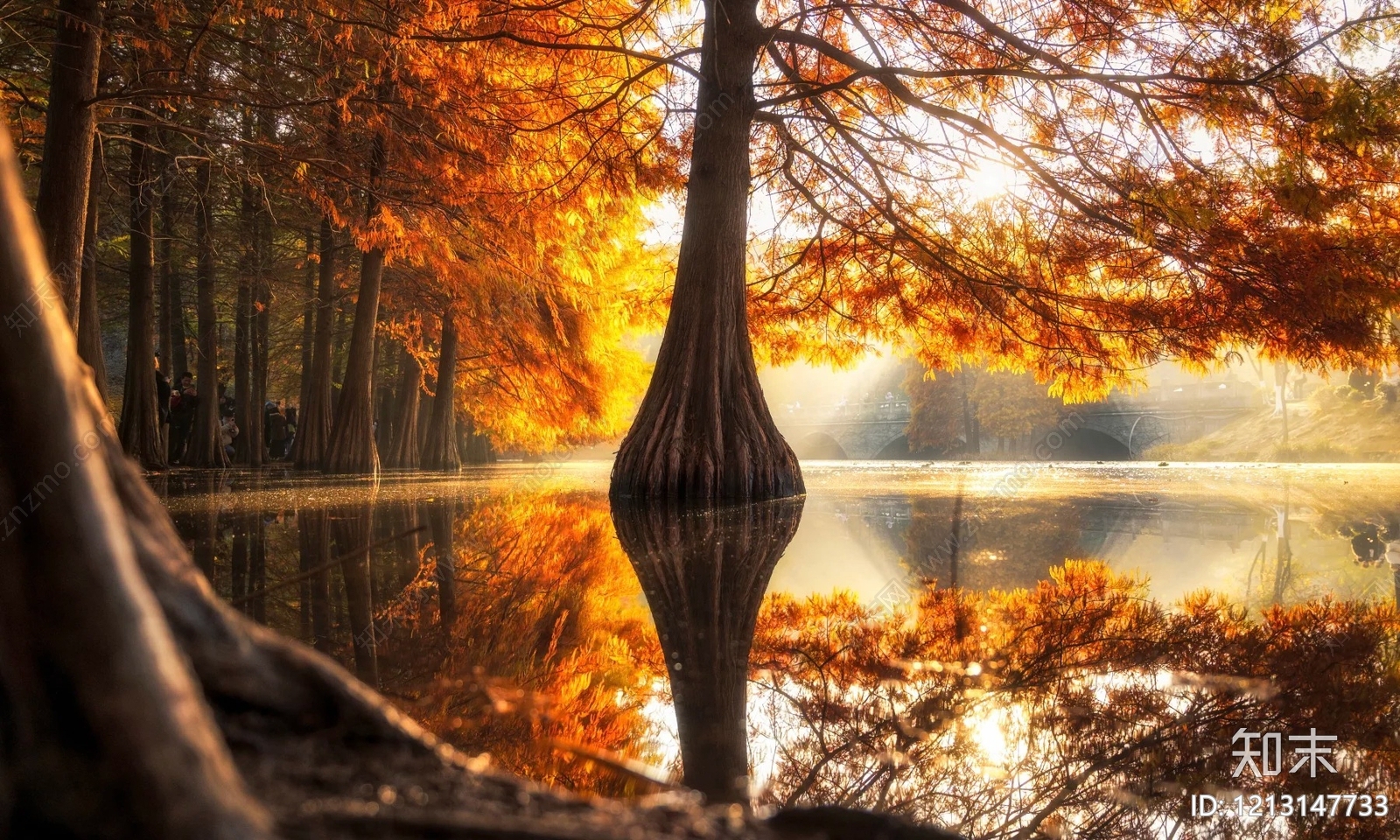 现代其他风景贴图下载【ID:1213147733】