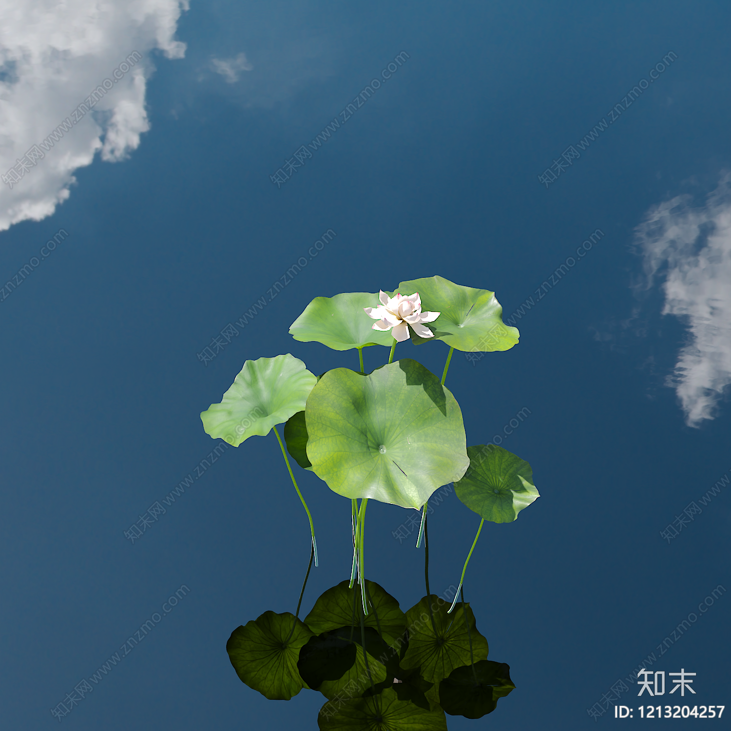 新中式景观水生植物3D模型下载【ID:1213204257】