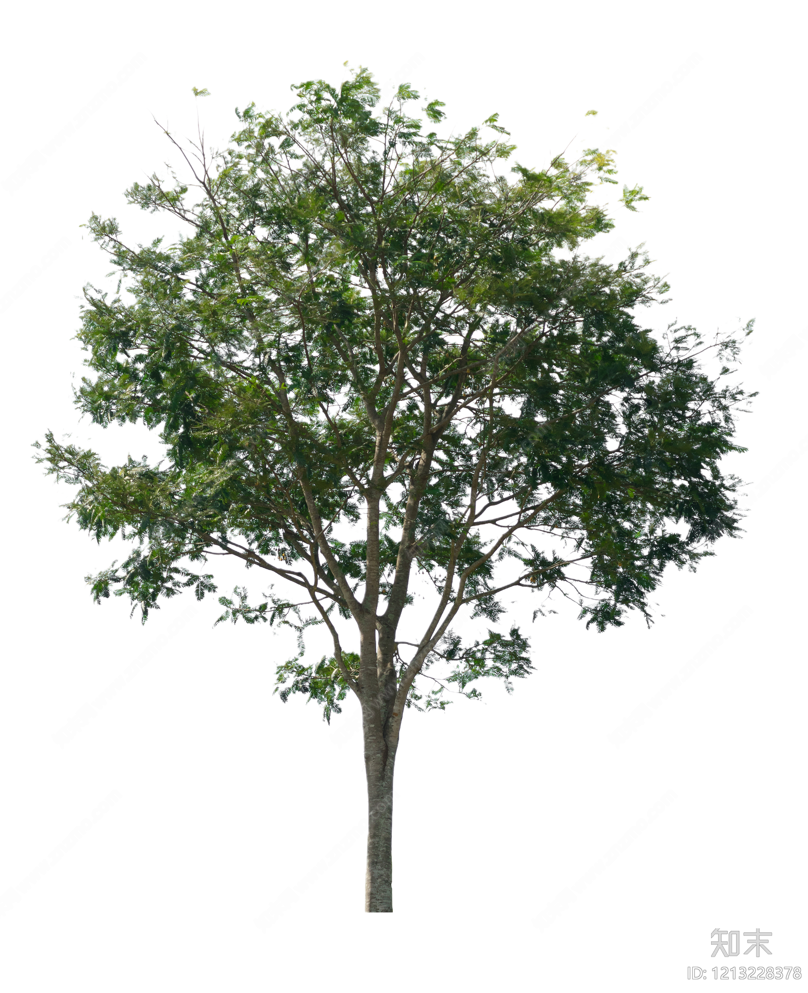 现代其它HDR贴图下载【ID:1213228378】