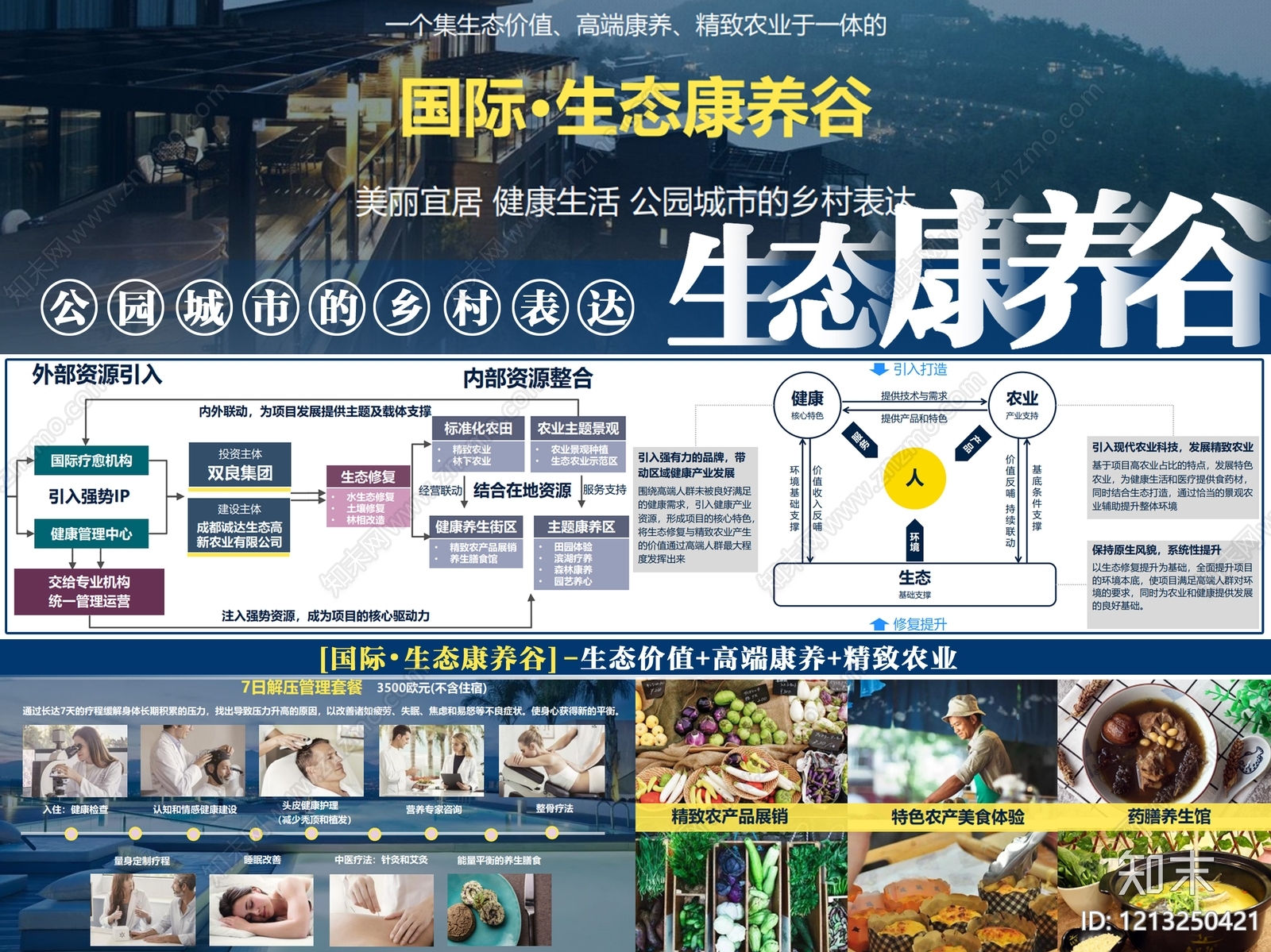 康养文旅下载【ID:1213250421】