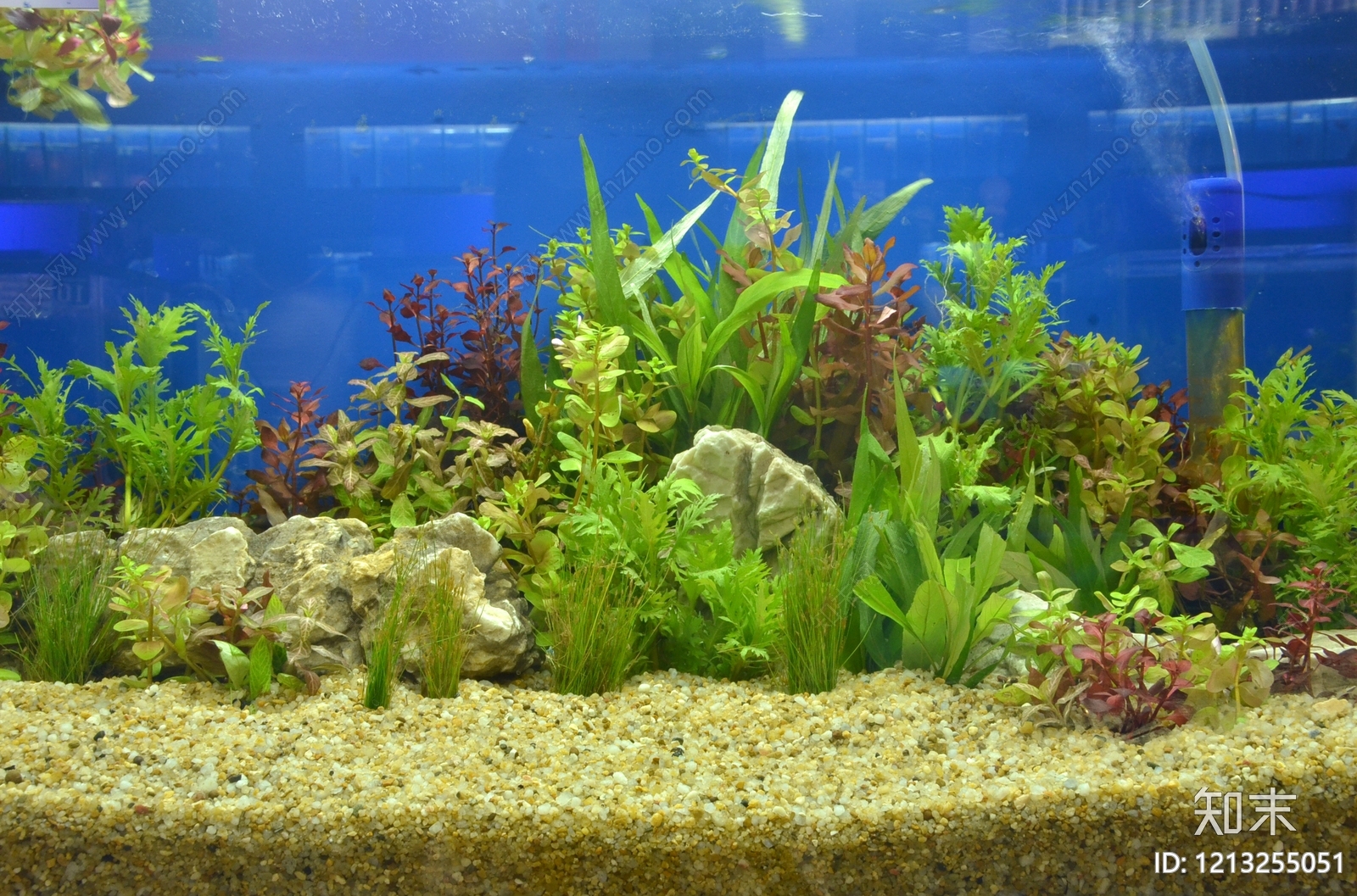 现代鱼缸贴图下载【ID:1213255051】