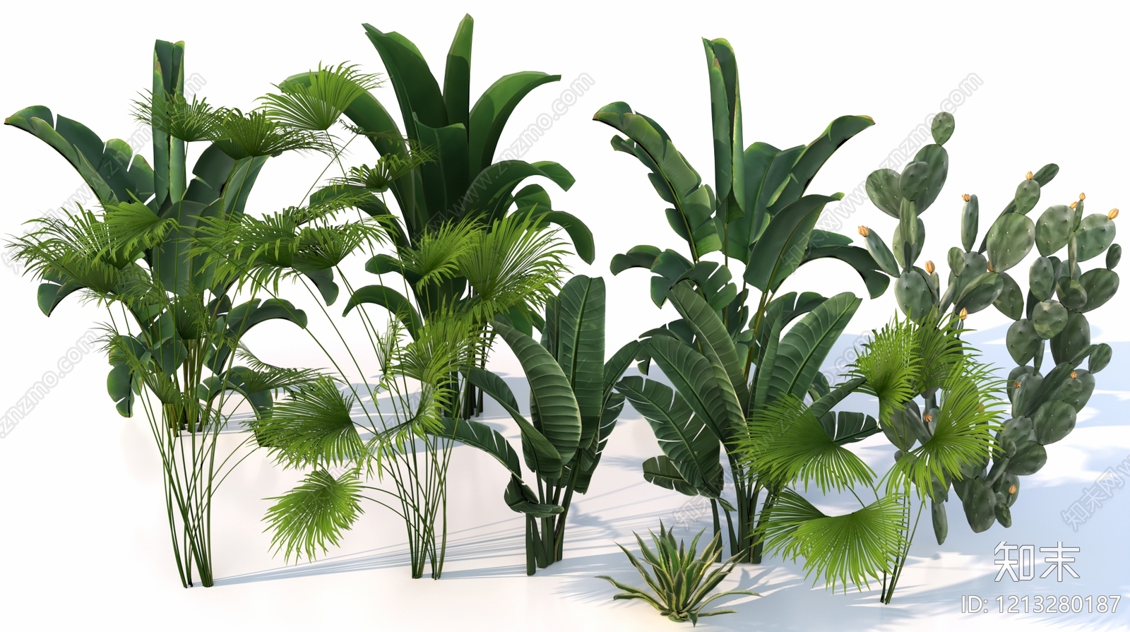 热带植物景观草本植物3D模型下载【ID:1213280187】