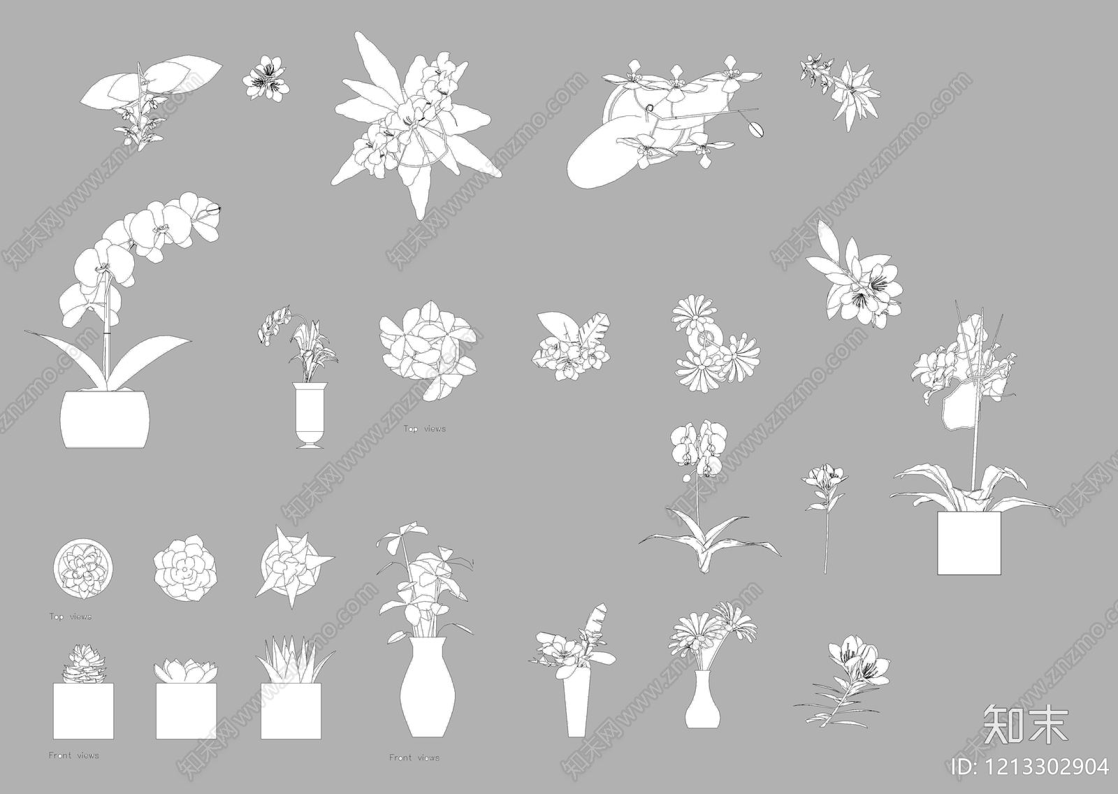 现代综合植物图库cad施工图下载【ID:1213302904】