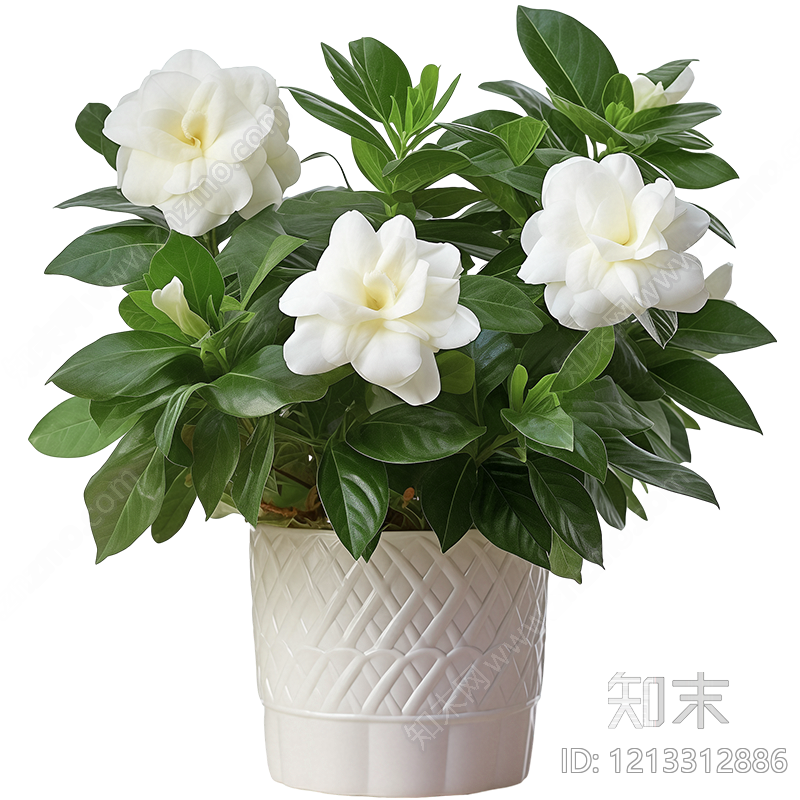 现代其它HDR贴图下载【ID:1213312886】