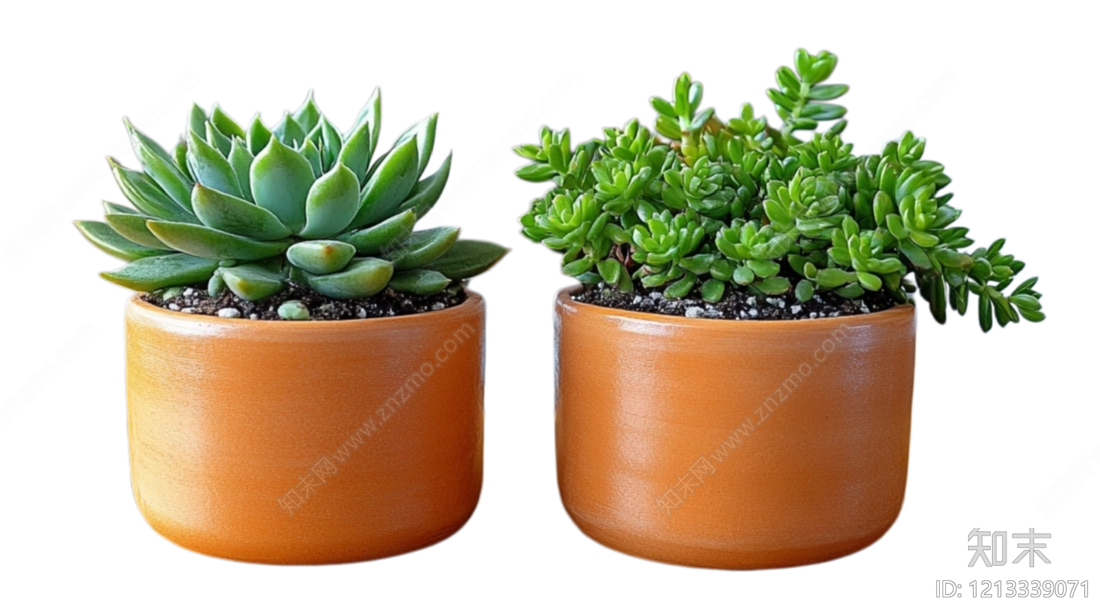 现代其它HDR贴图下载【ID:1213339071】