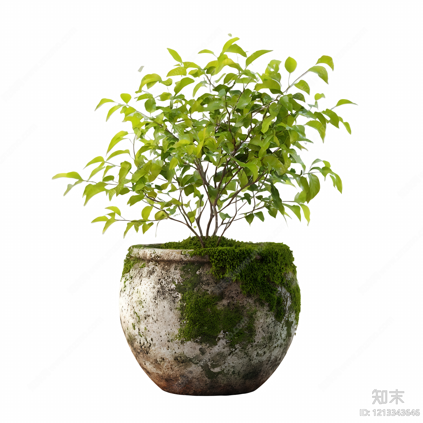 现代其它HDR贴图下载【ID:1213343646】