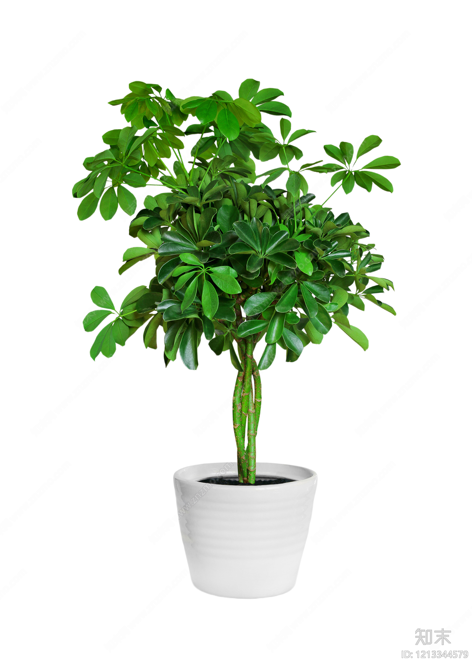 现代其它HDR贴图下载【ID:1213344579】