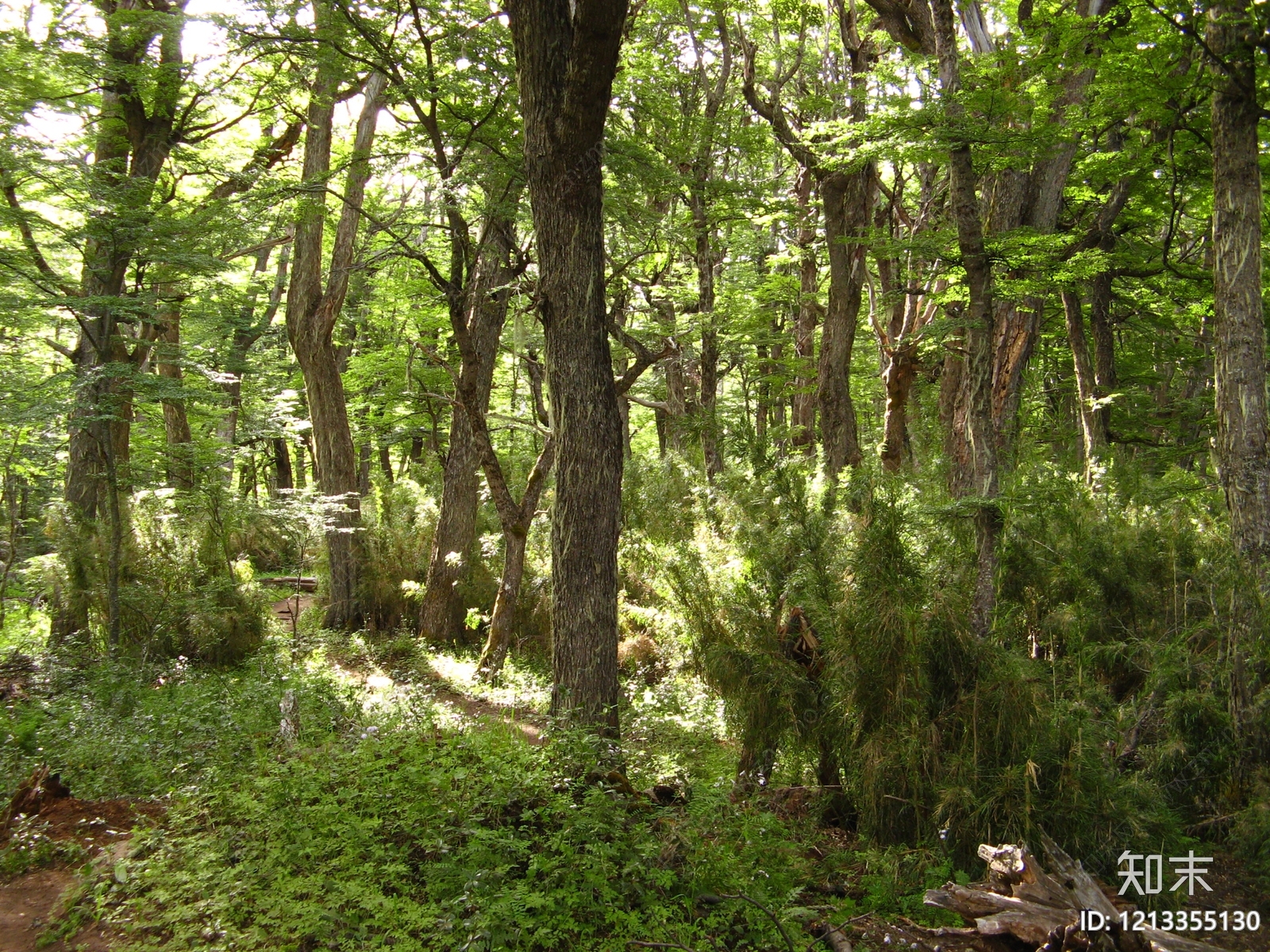 现代新中式其他风景贴图下载【ID:1213355130】
