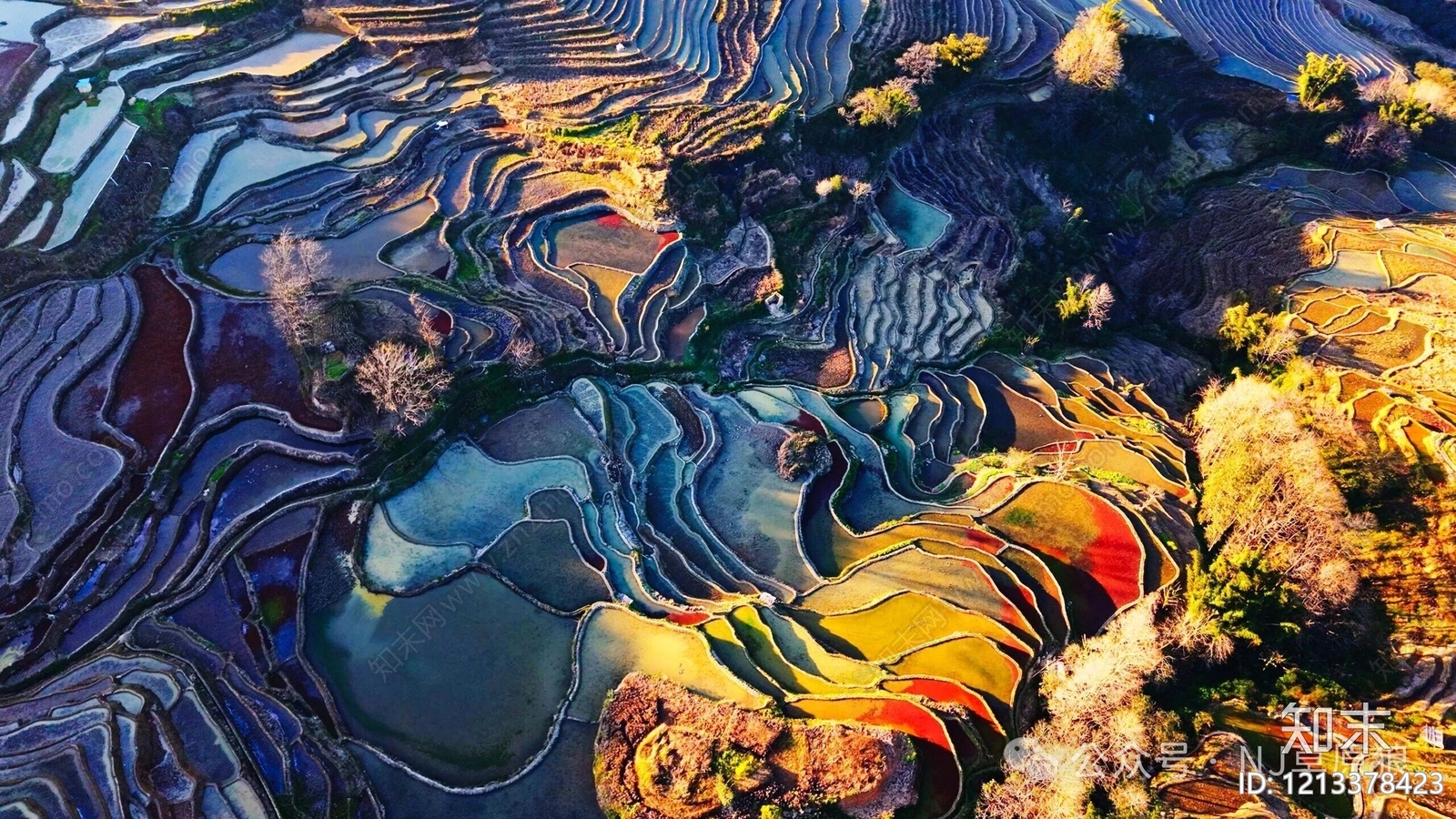 现代其它外景贴图下载【ID:1213378423】