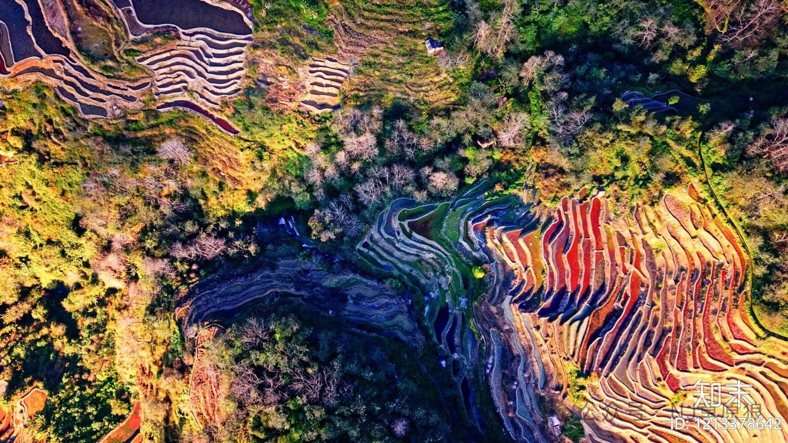 新中式现代植被贴图下载【ID:1213378642】