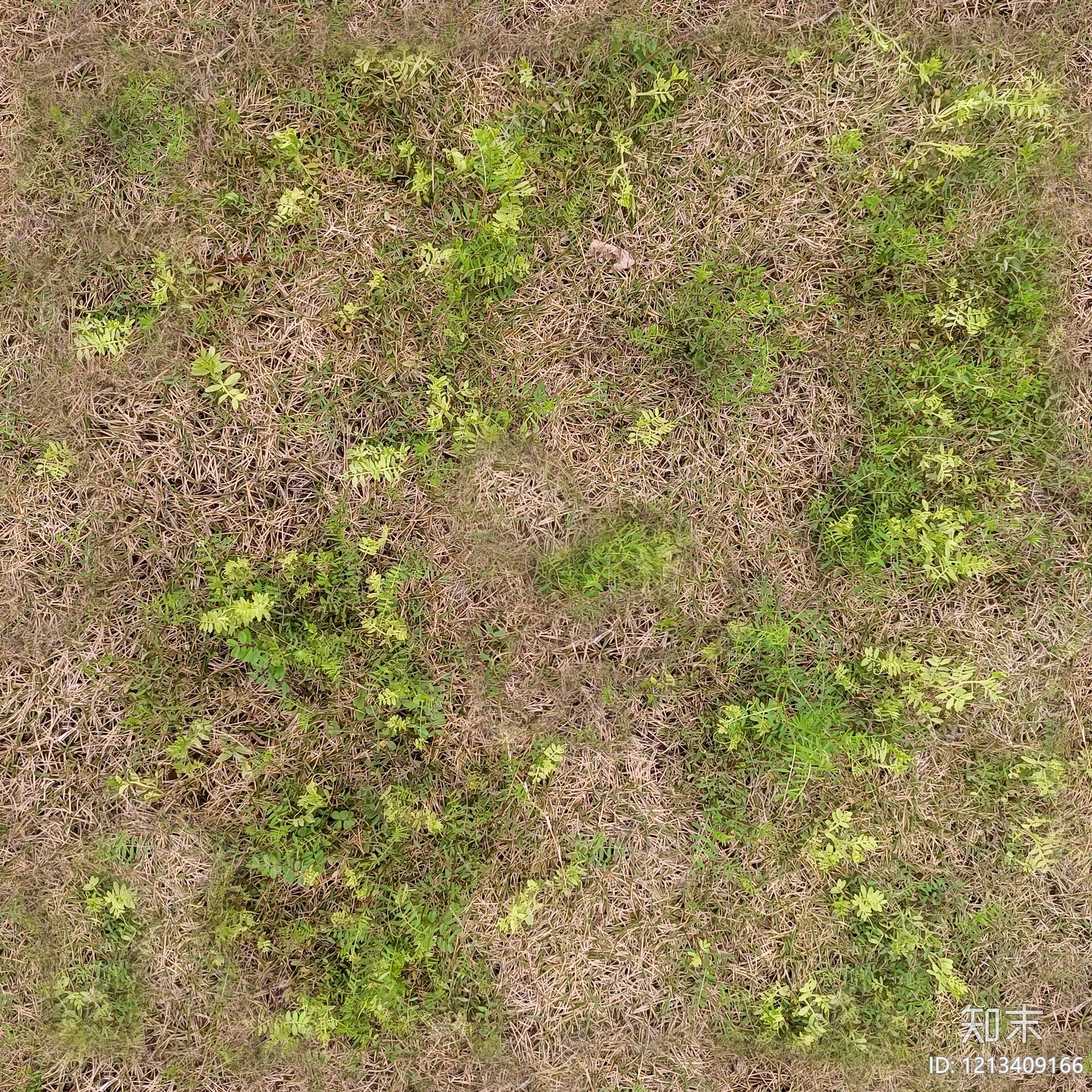 原木复古草地纹理贴图下载【ID:1213409166】