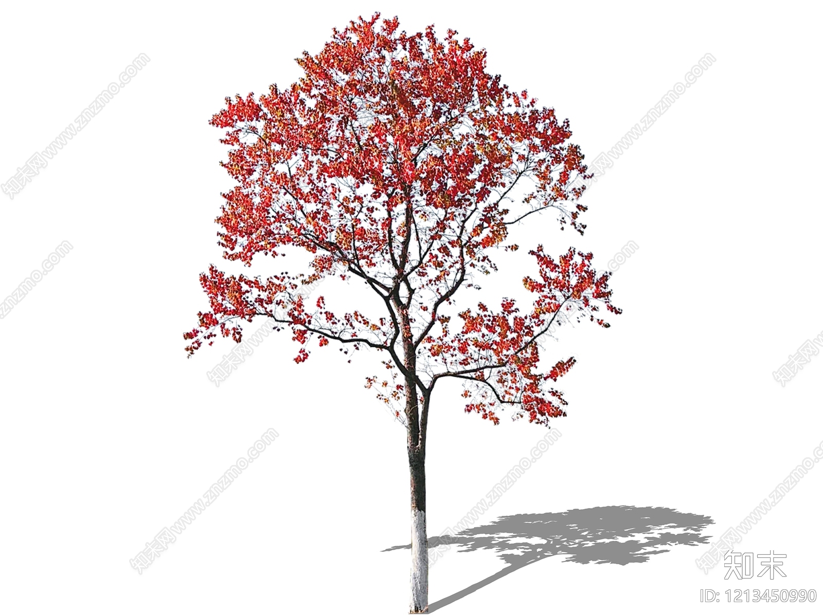 现代景观乔木SU模型下载【ID:1213450990】