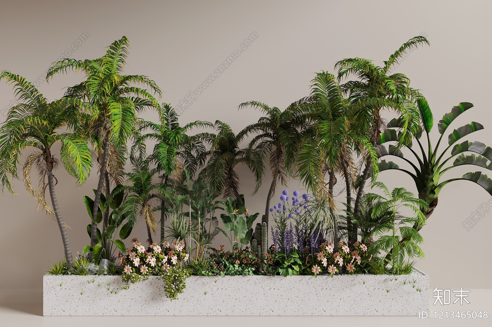 热带景观风沙漠植物3D模型下载【ID:1213465048】