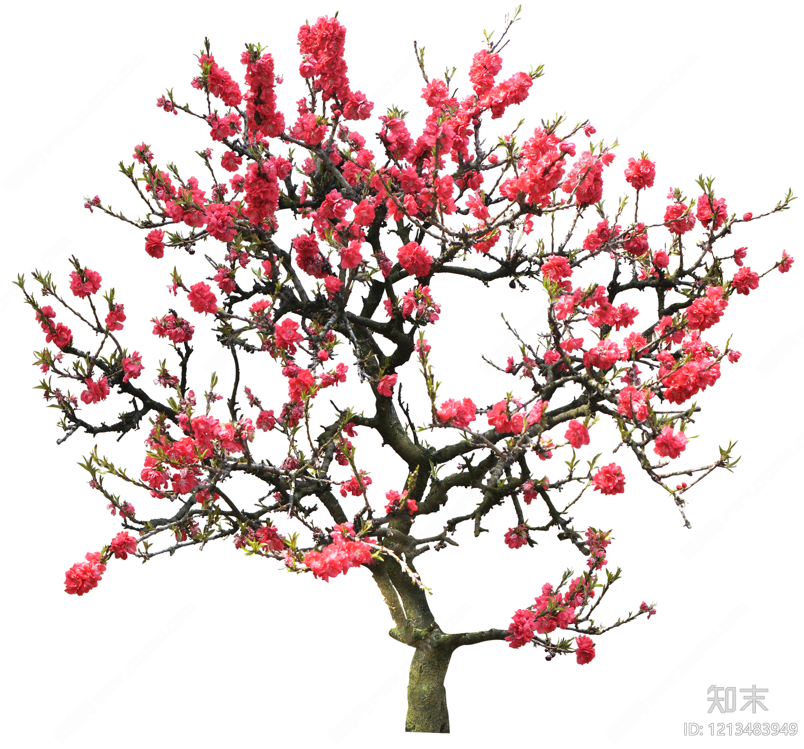 现代其它HDR贴图下载【ID:1213483949】