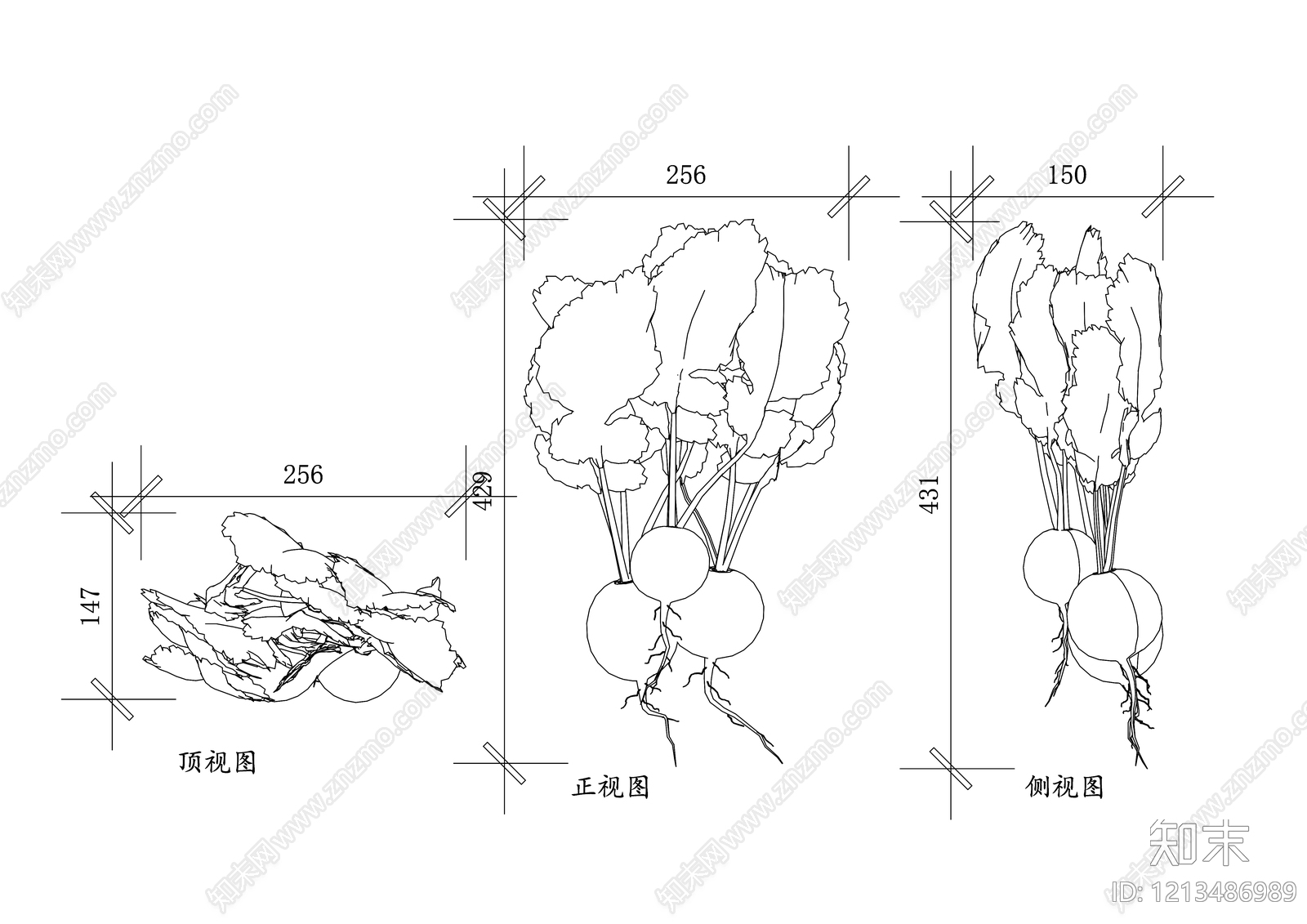 现代综合植物图库CAD图纸