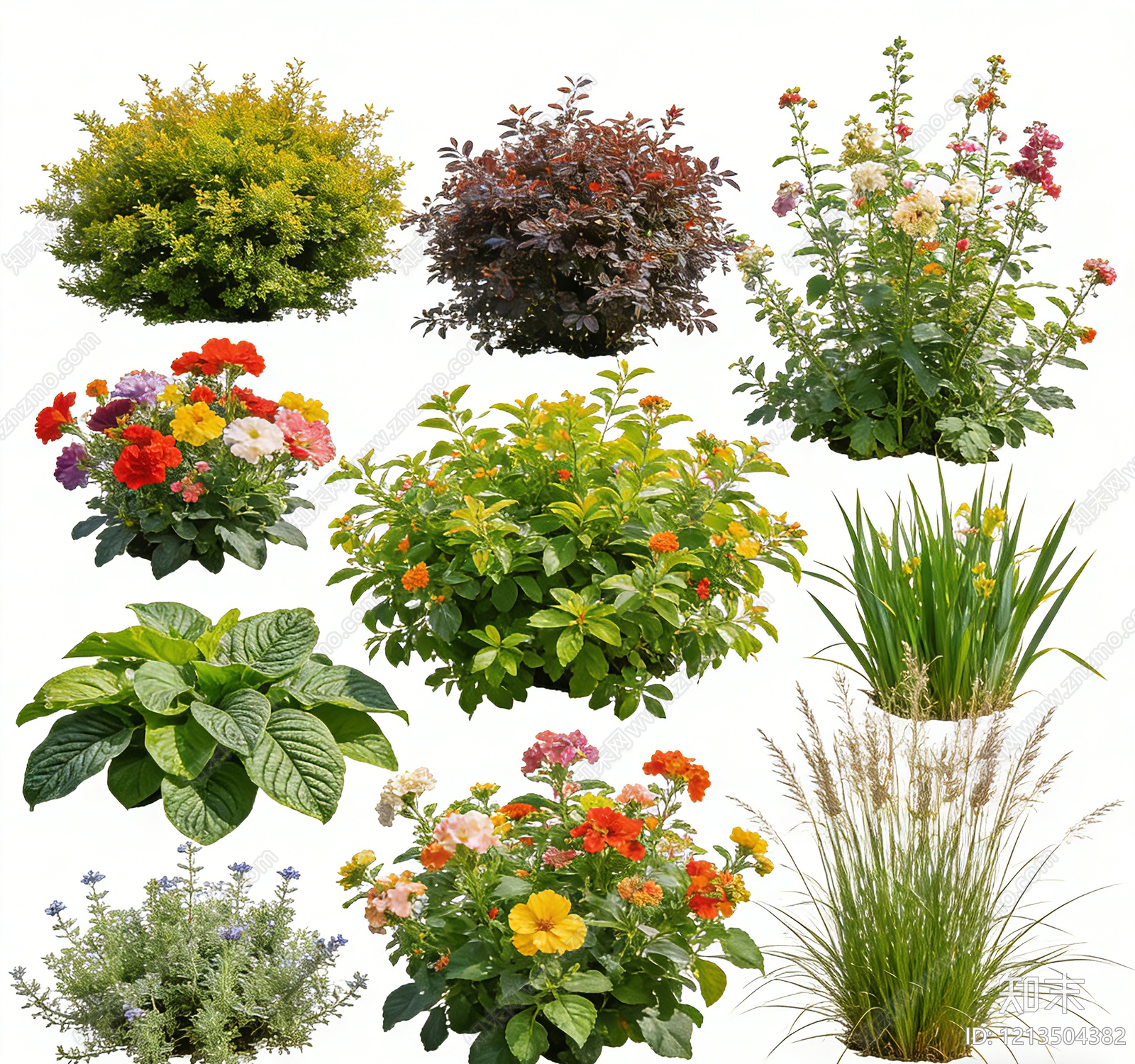 植被贴图下载【ID:1213504382】