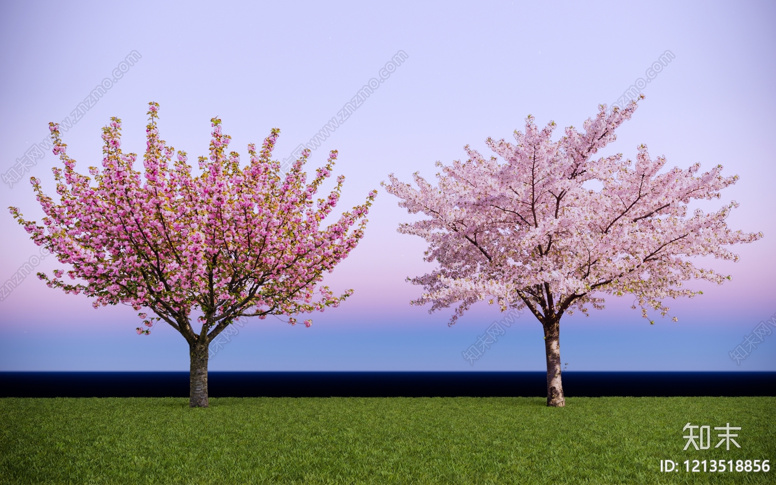 2D樱花树SU模型下载【ID:1213518856】