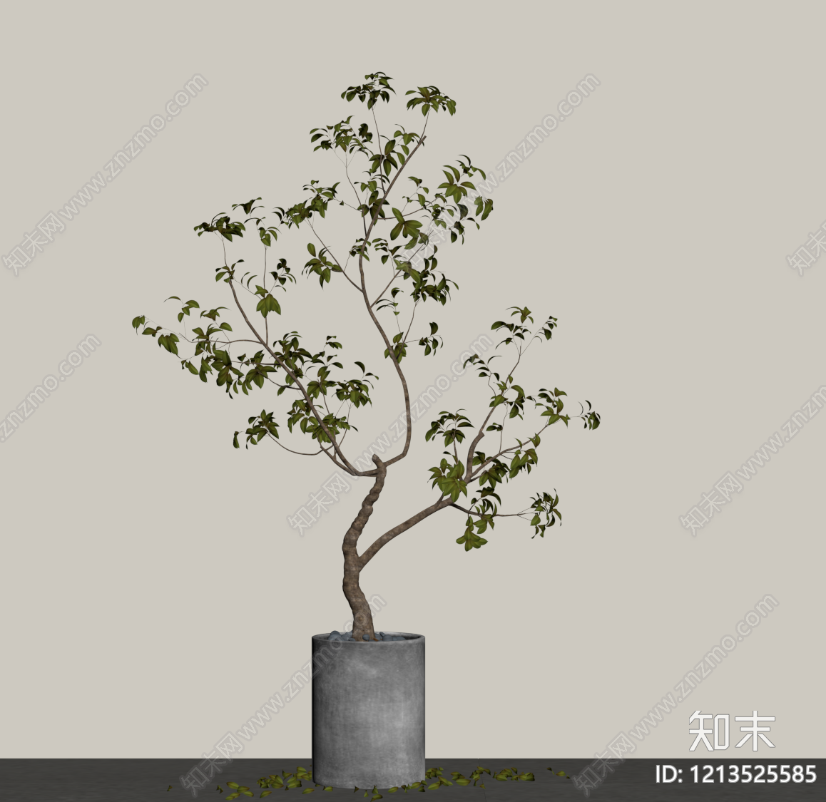 现代植物组合SU模型下载【ID:1213525585】