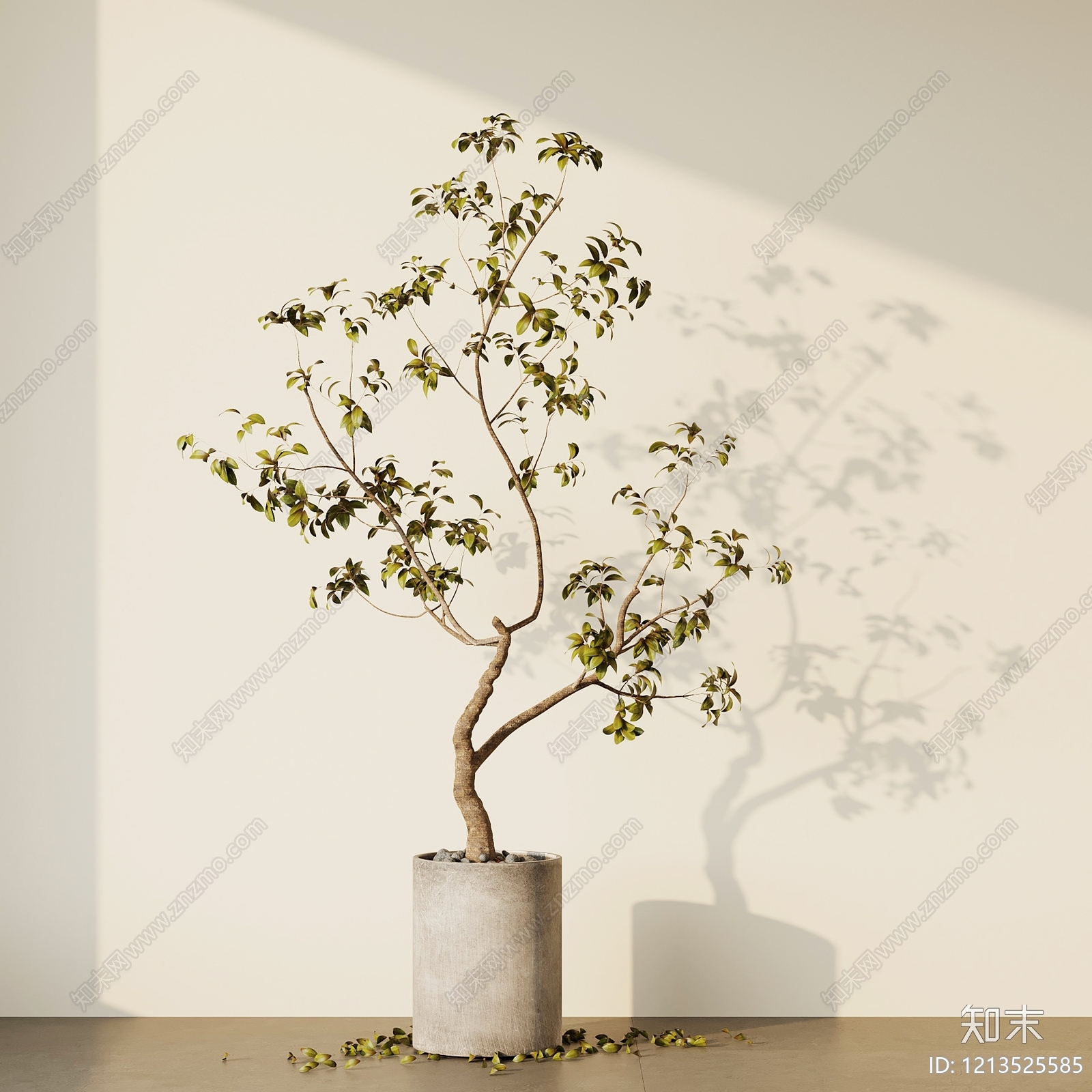 现代植物组合SU模型下载【ID:1213525585】