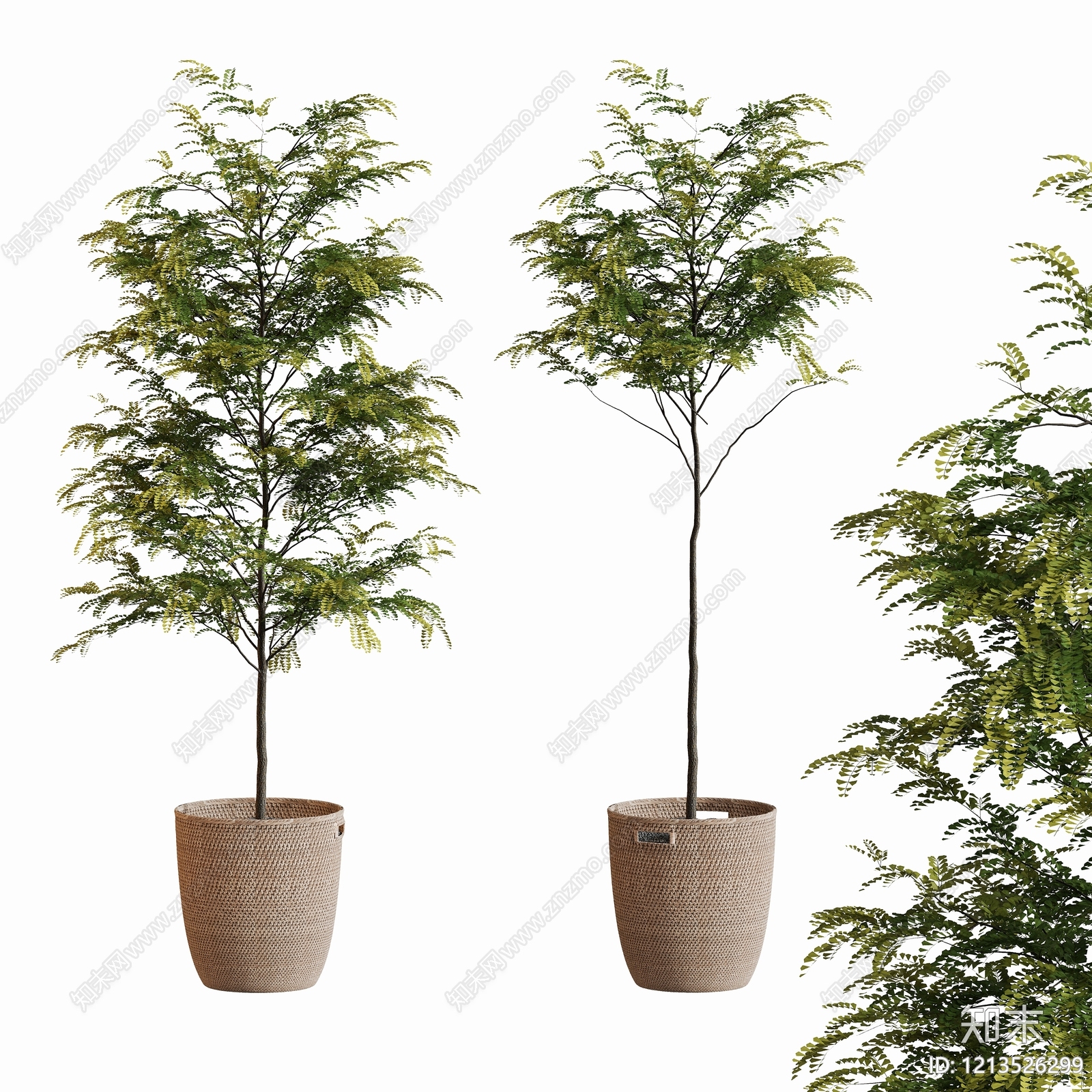 盆栽SU模型下载【ID:1213526299】