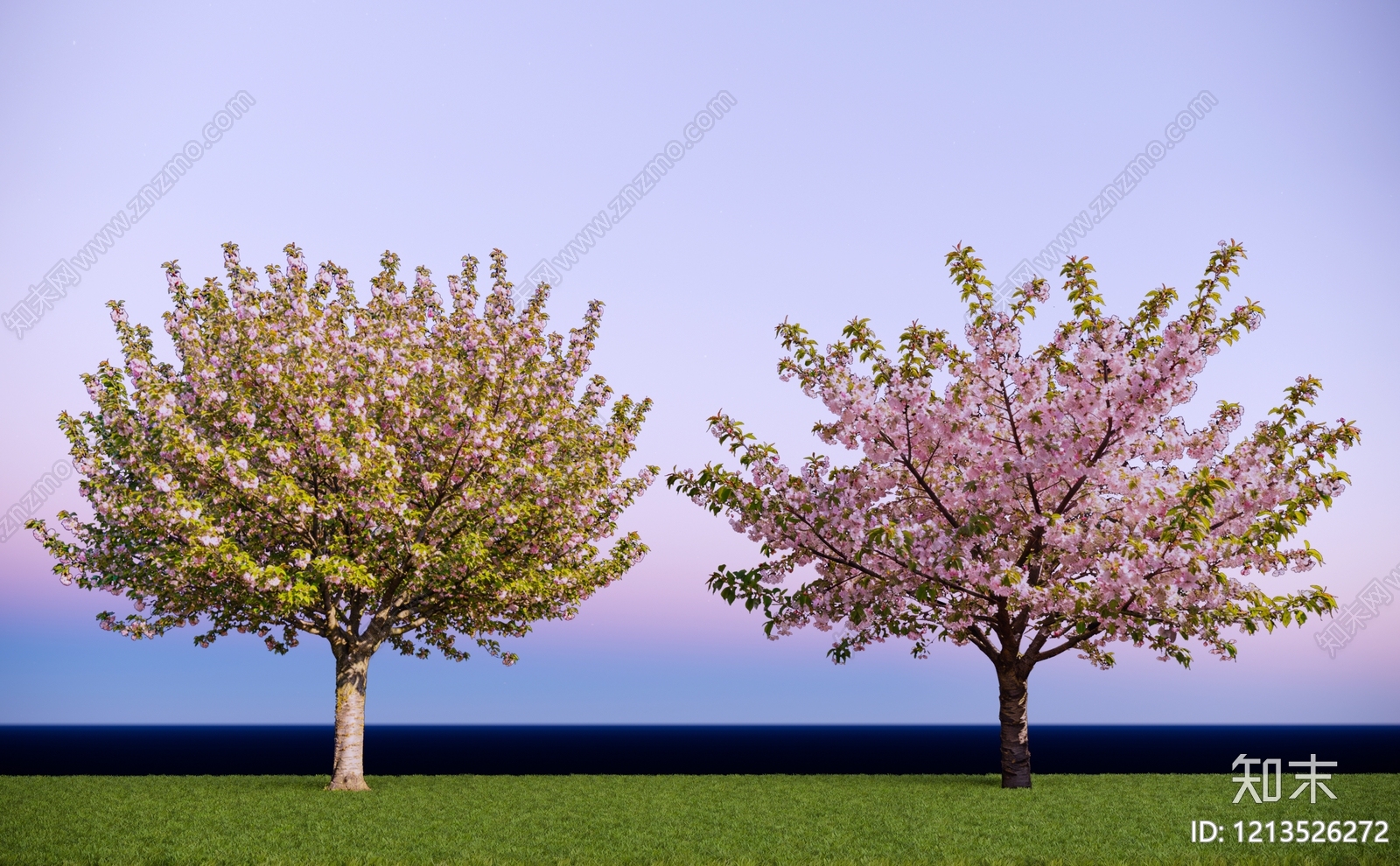 2D樱花树SU模型下载【ID:1213526272】