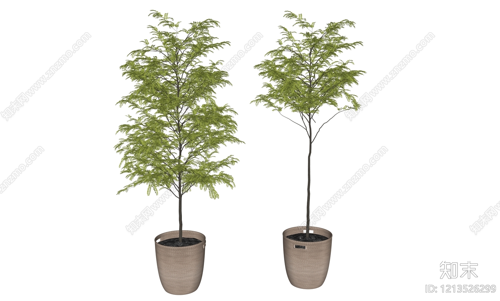 盆栽SU模型下载【ID:1213526299】