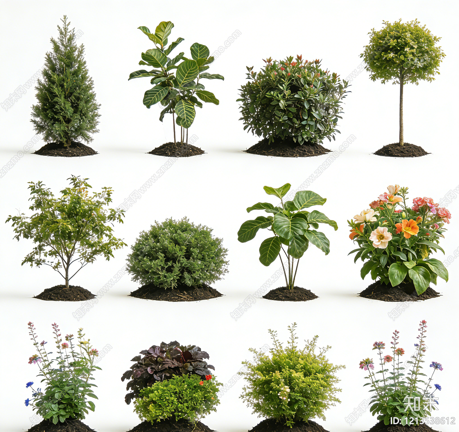 植被贴图下载【ID:1213538612】