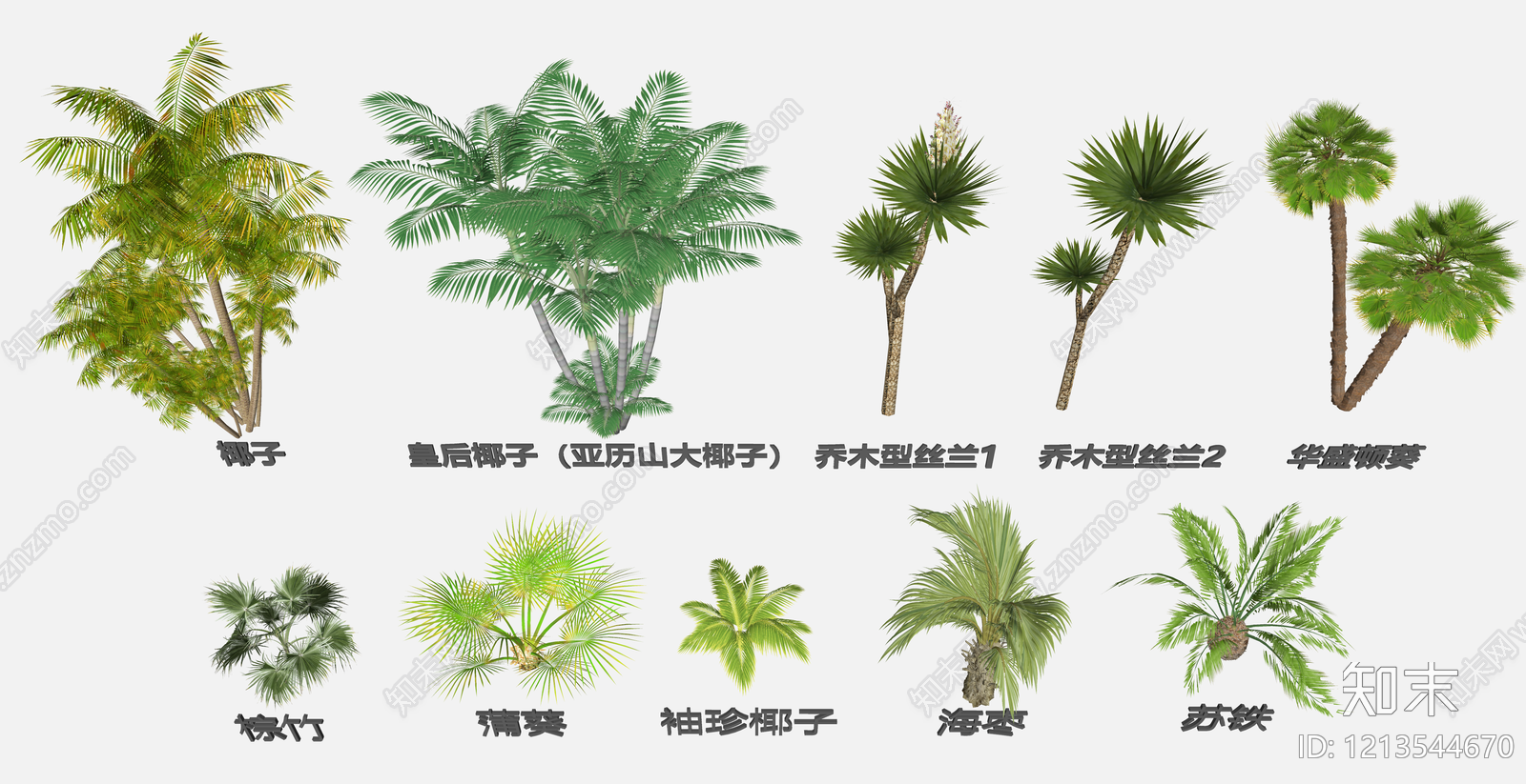 热带植物景观其他植物SU模型下载【ID:1213544670】