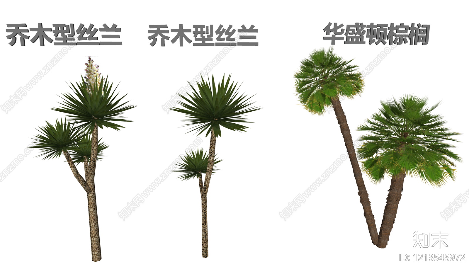 热带植物景观乔木SU模型下载【ID:1213545972】