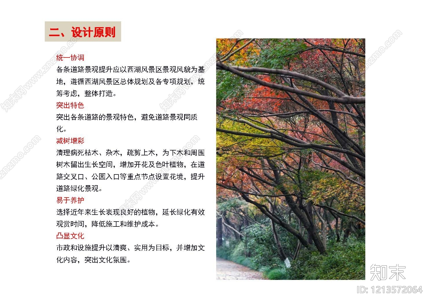 现代综合性公园景观下载【ID:1213572064】