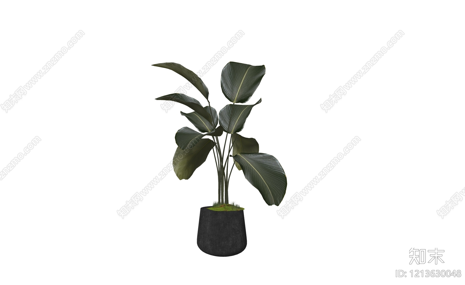 现代极简盆栽SU模型下载【ID:1213630048】