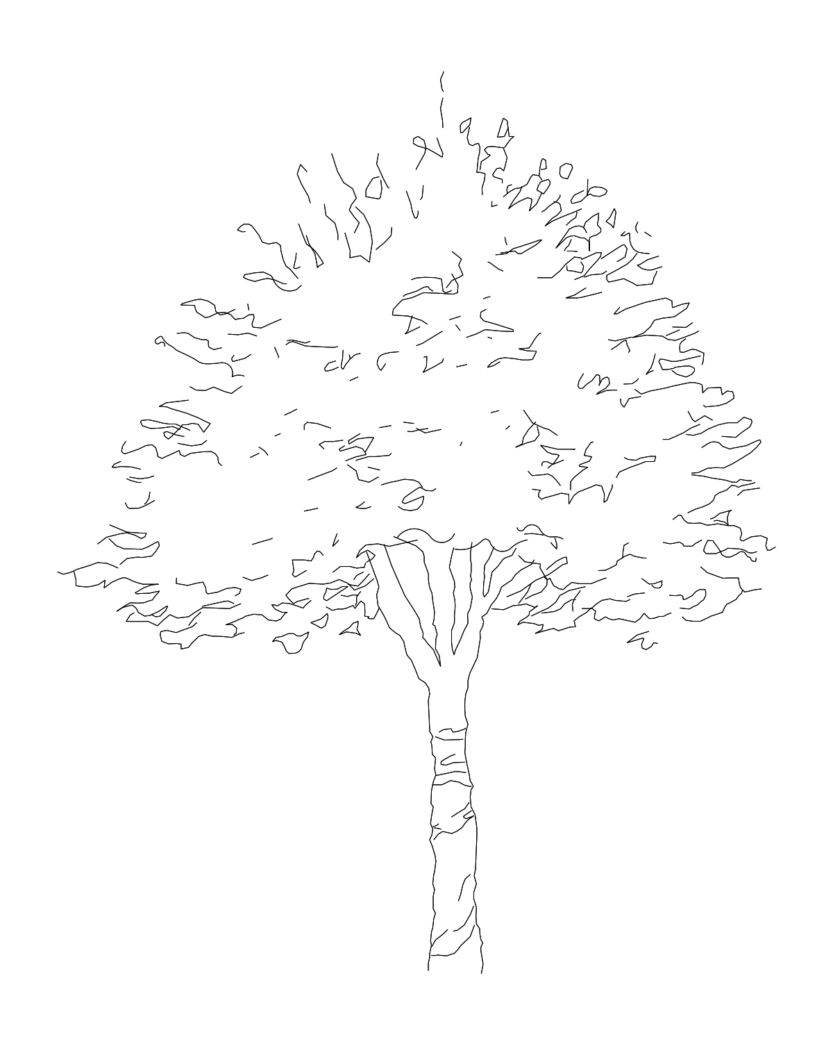 乔木种植CAD图纸