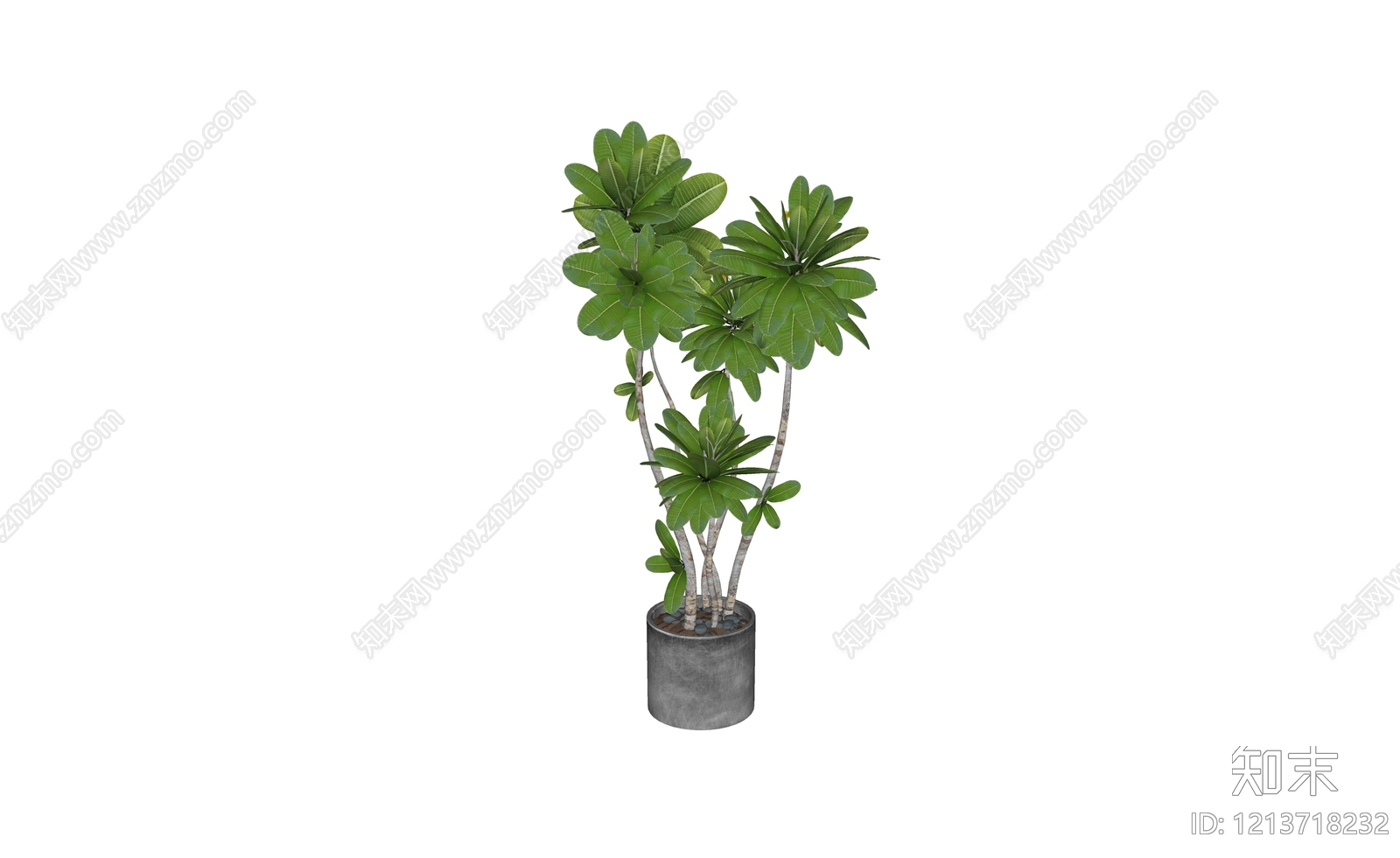 极简盆栽SU模型下载【ID:1213718232】