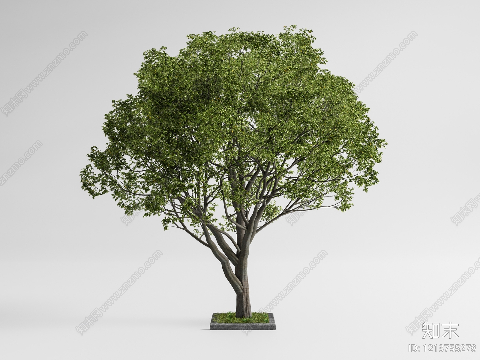 极简主义景观树3D模型下载【ID:1213755278】
