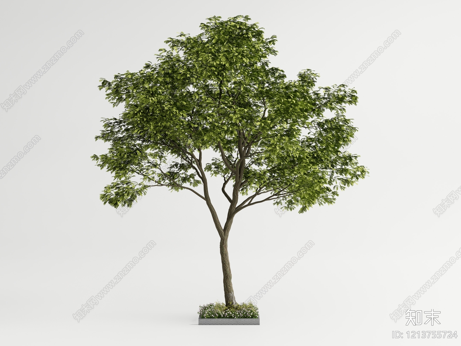 现代简约乔木SU模型下载【ID:1213755724】