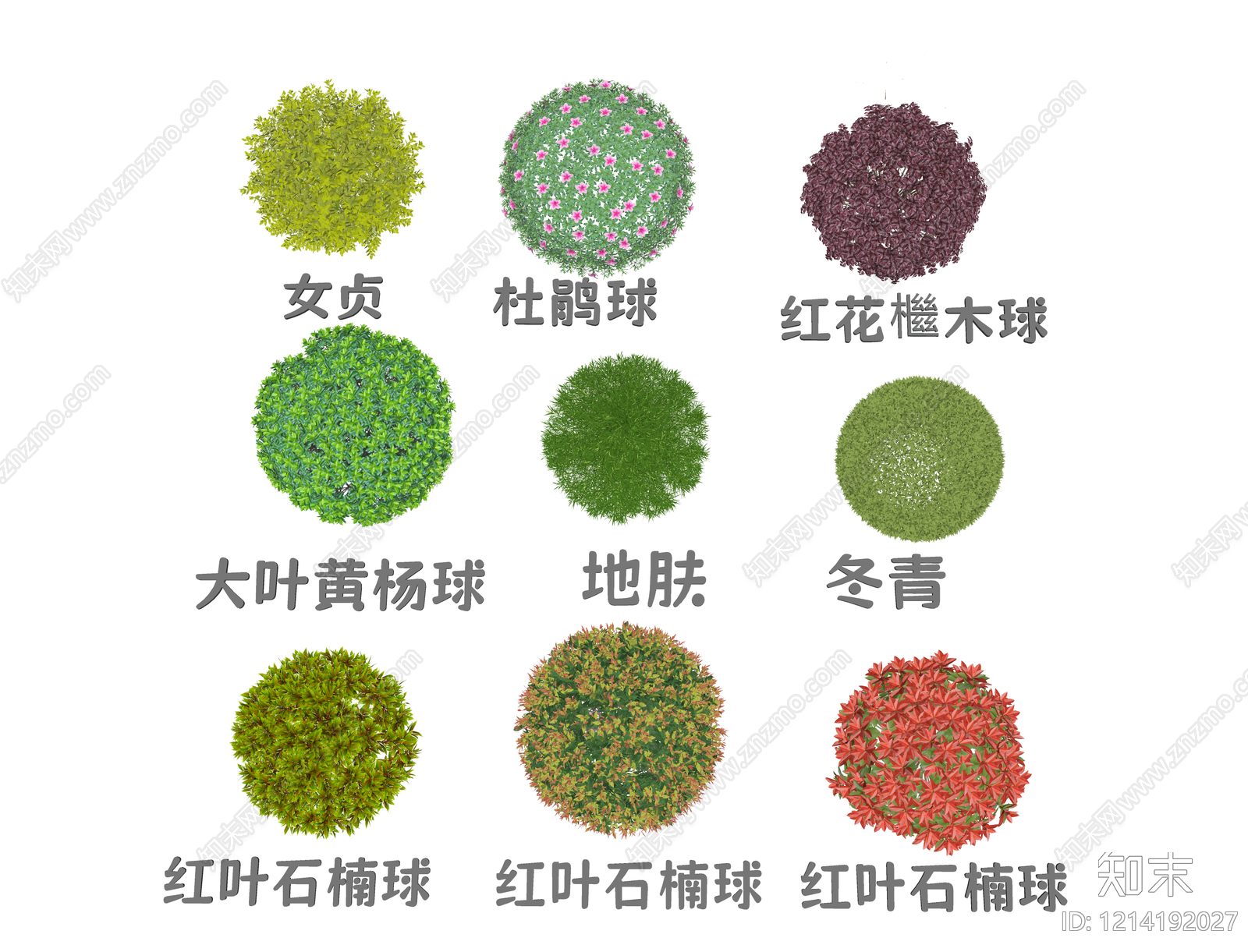 现代园林植物造景灌木SU模型下载【ID:1214192027】