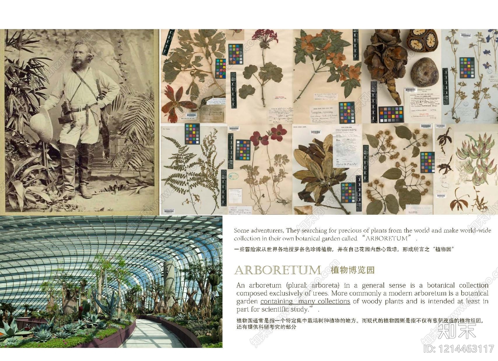 现代综合性公园景观下载【ID:1214463117】