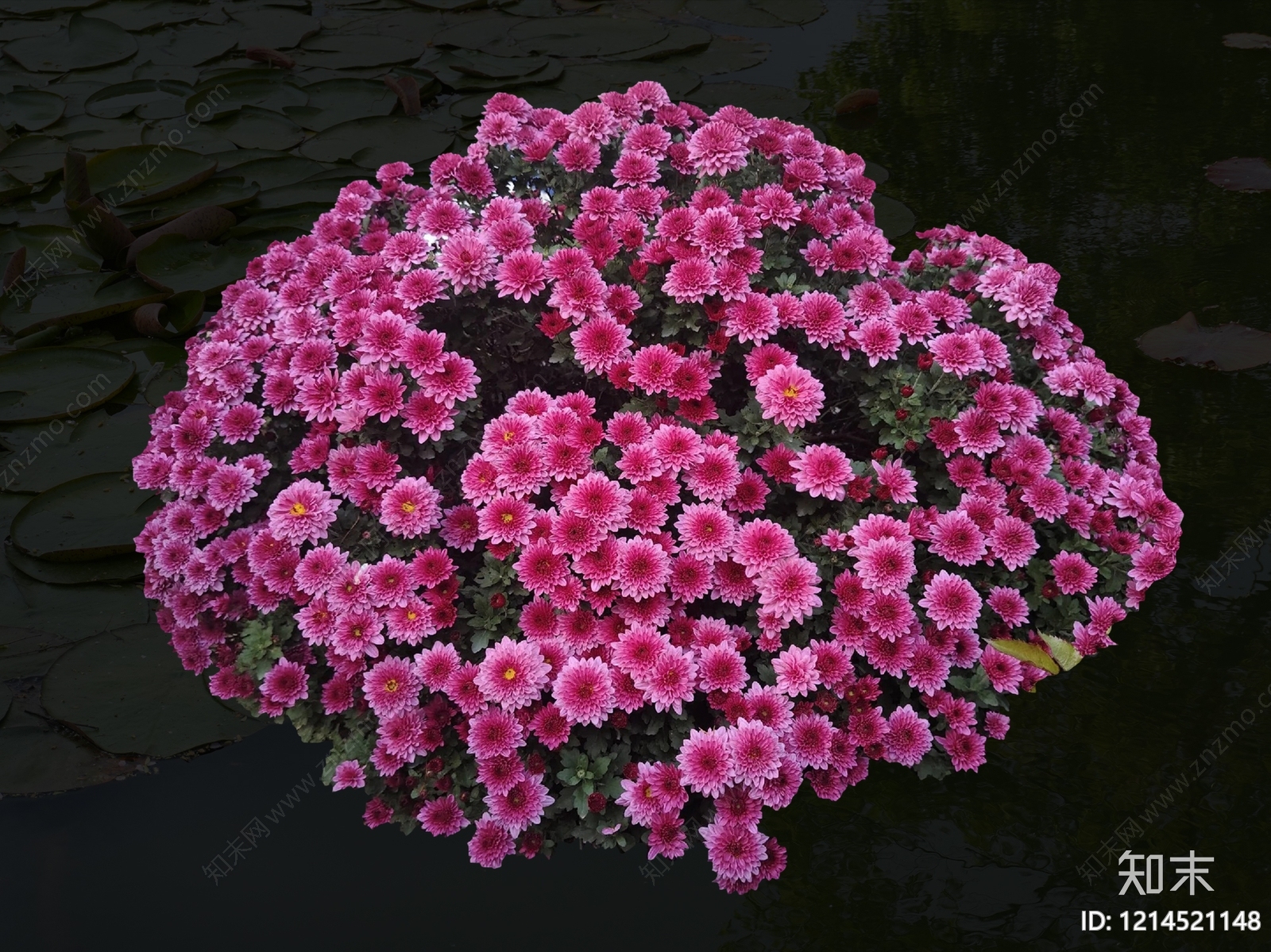 草本花卉设计素材精品下载_知末网